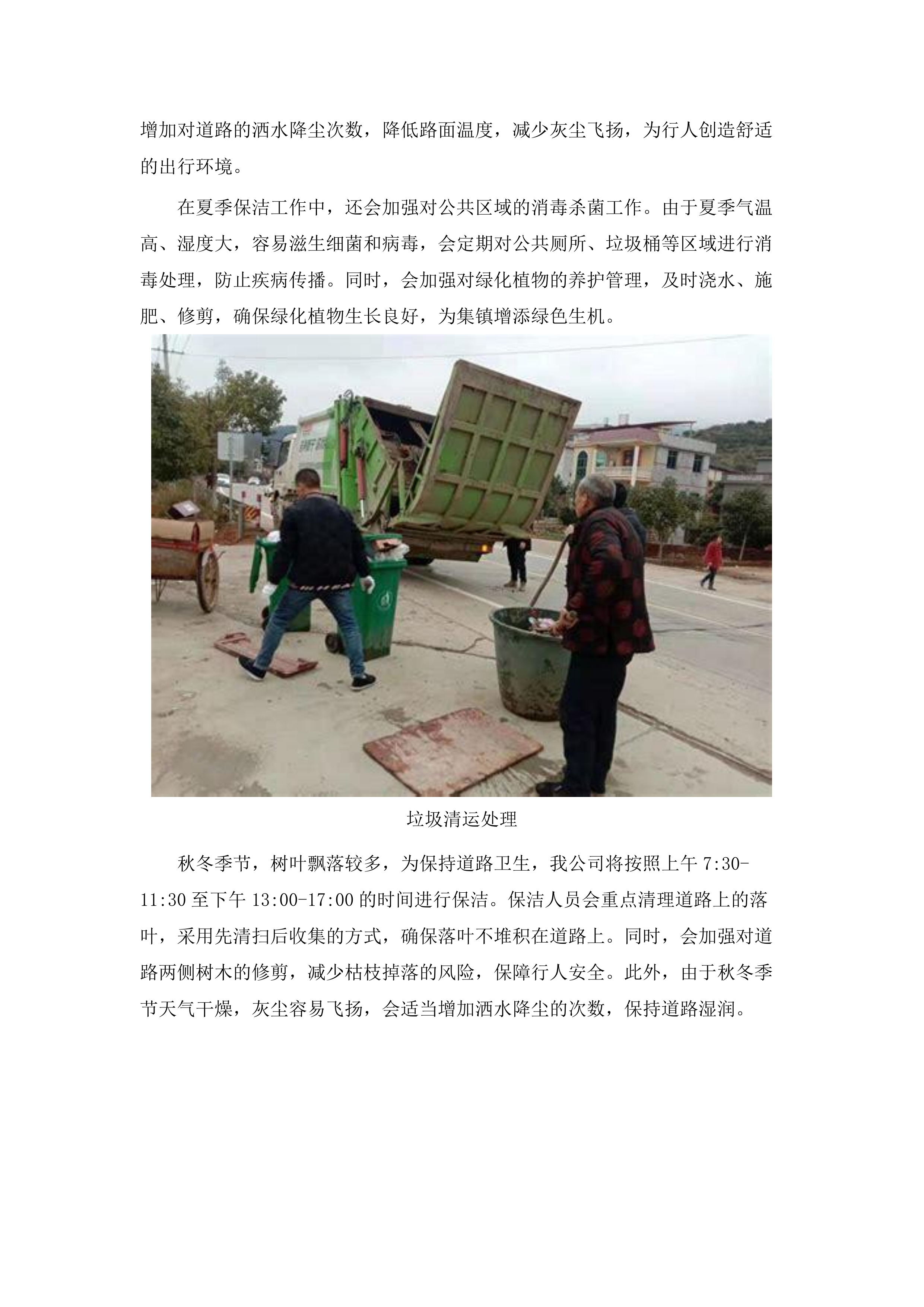 大瑶镇集镇保洁、政府机关物业服务.docx 第9页