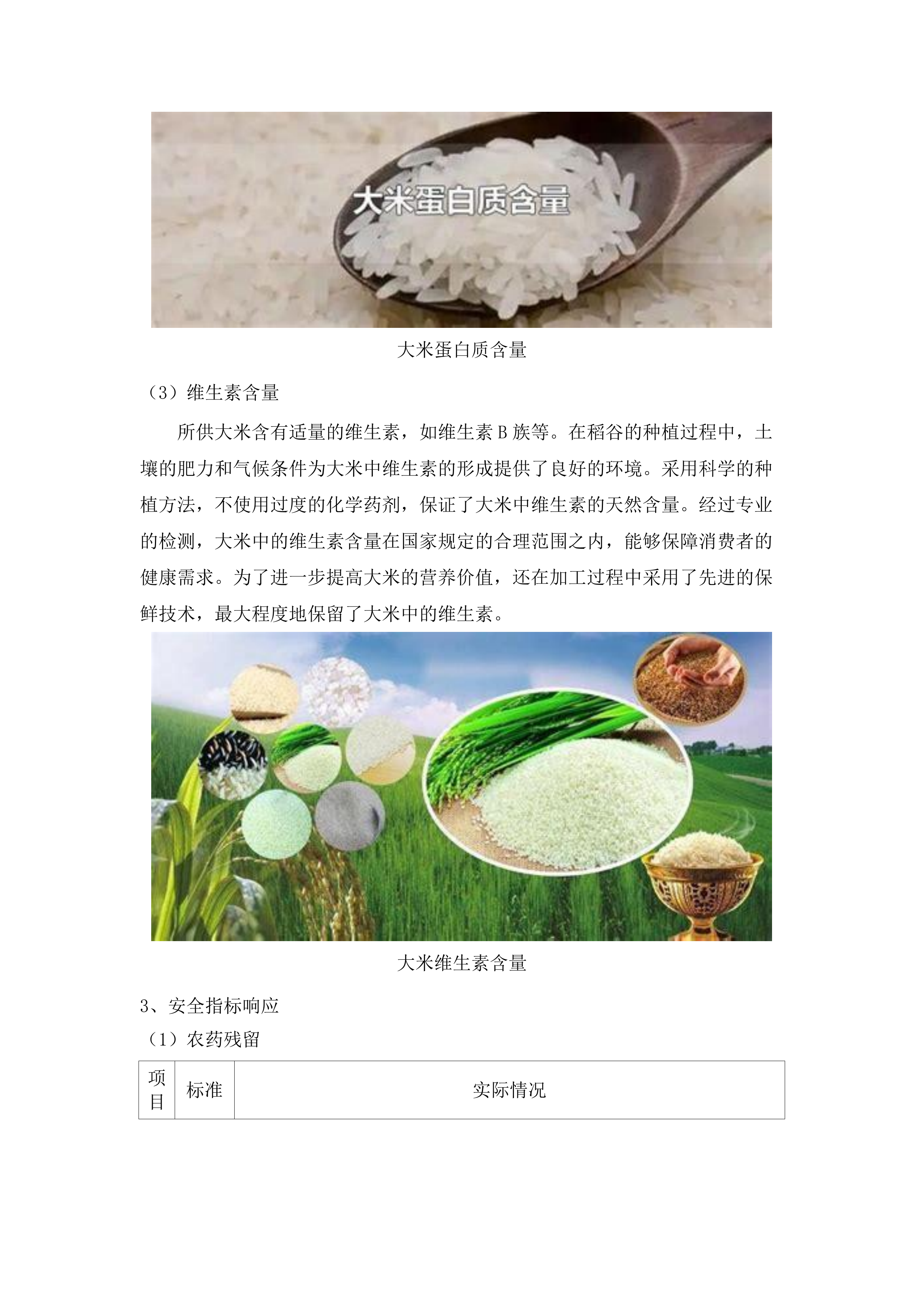 广州中医药大学第一附属医院主食类、粮油类、蔬菜及家禽类、食杂等物资配送服务项目招标文件（2025061902）.docx 第13页