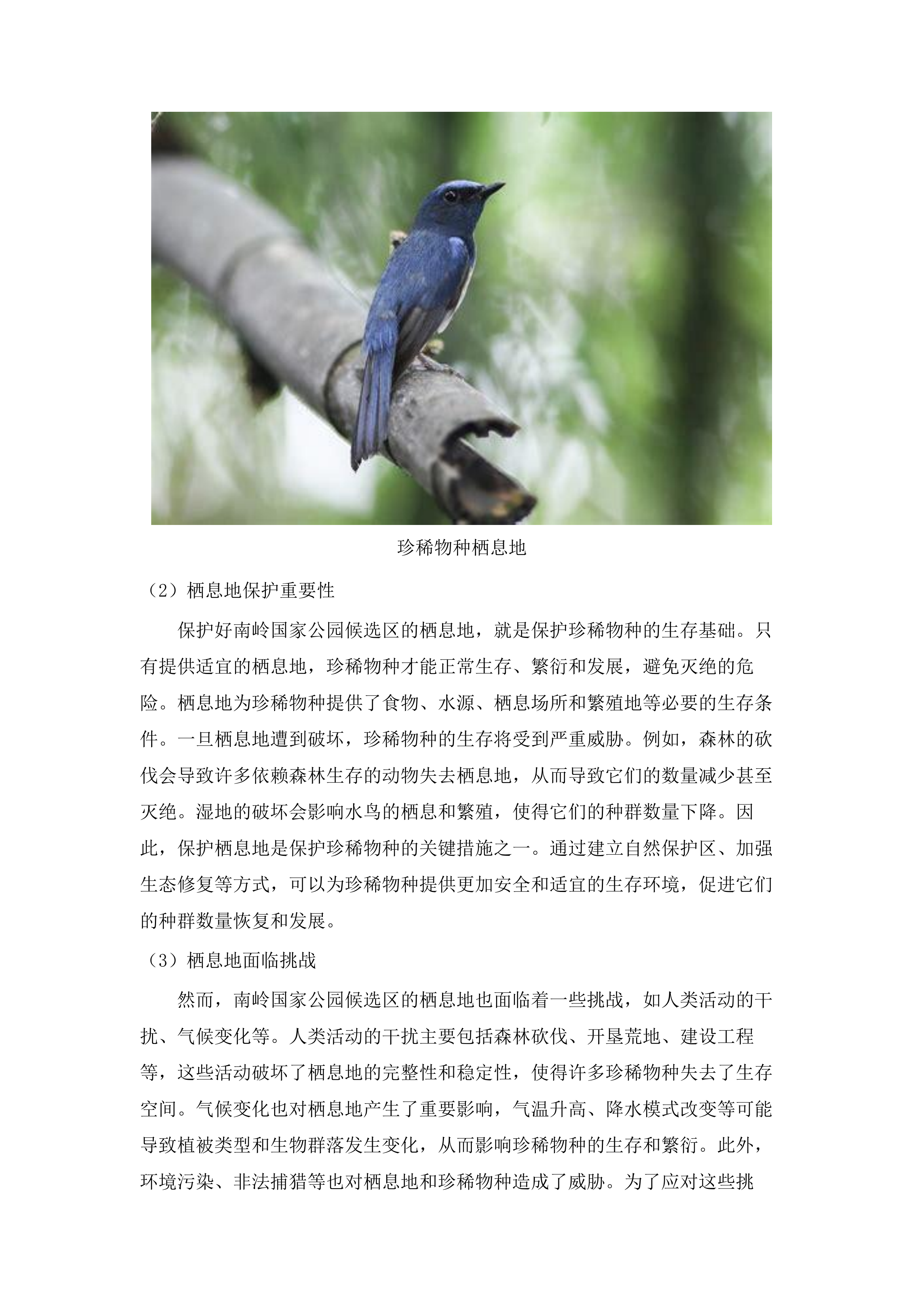 南岭国家公园宣传推广招标文件（2025062301）.docx 第12页