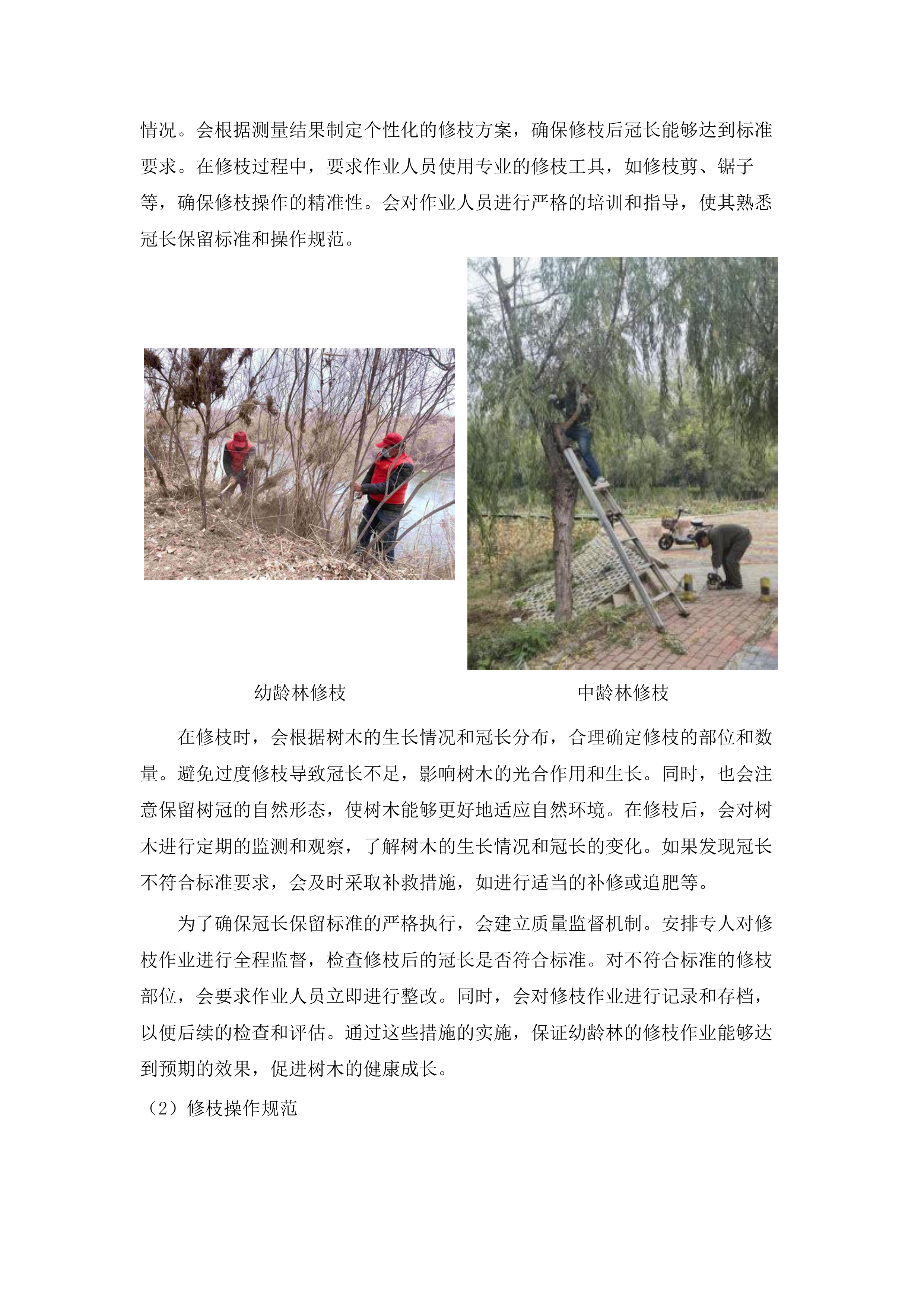 广东省云浮林场2024年全国森林可持续经营试点项目磋商文件（2025062201）.docx 第15页