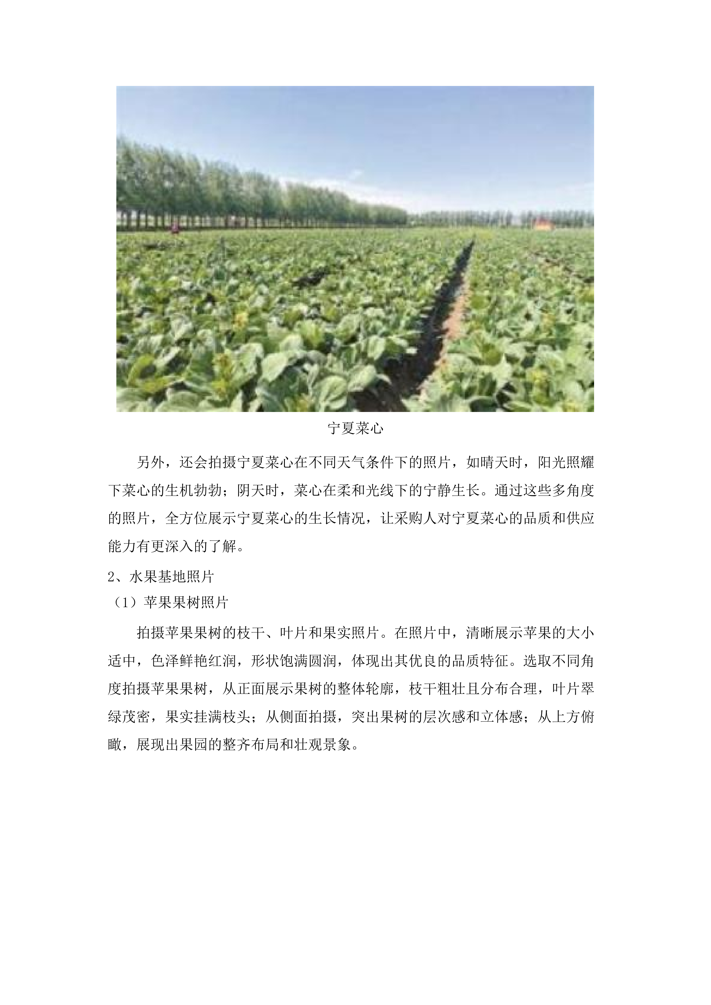 佛山市三水区妇幼保健院食堂食材配送服务项目.docx 第10页