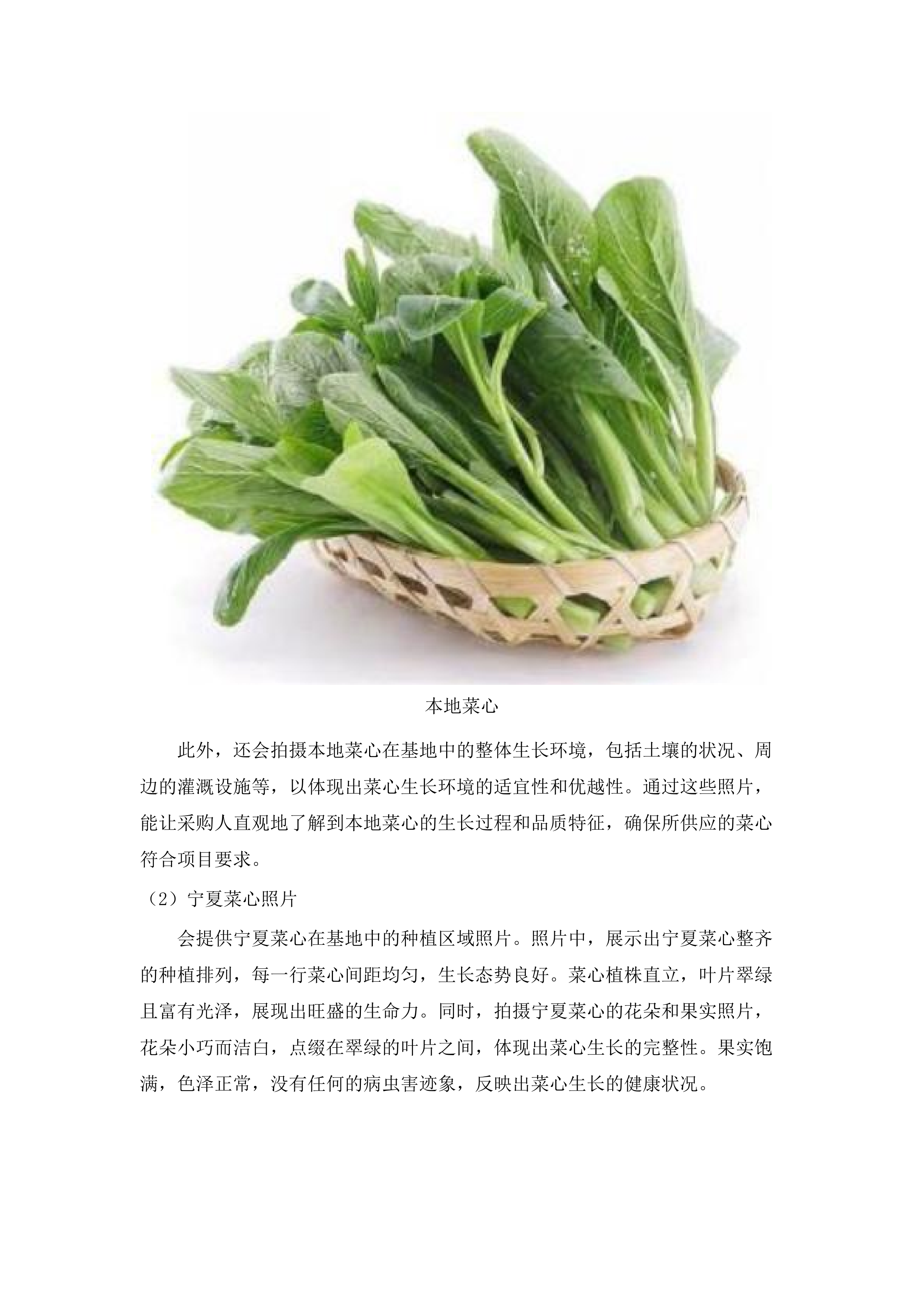 佛山市三水区妇幼保健院食堂食材配送服务项目.docx 第9页