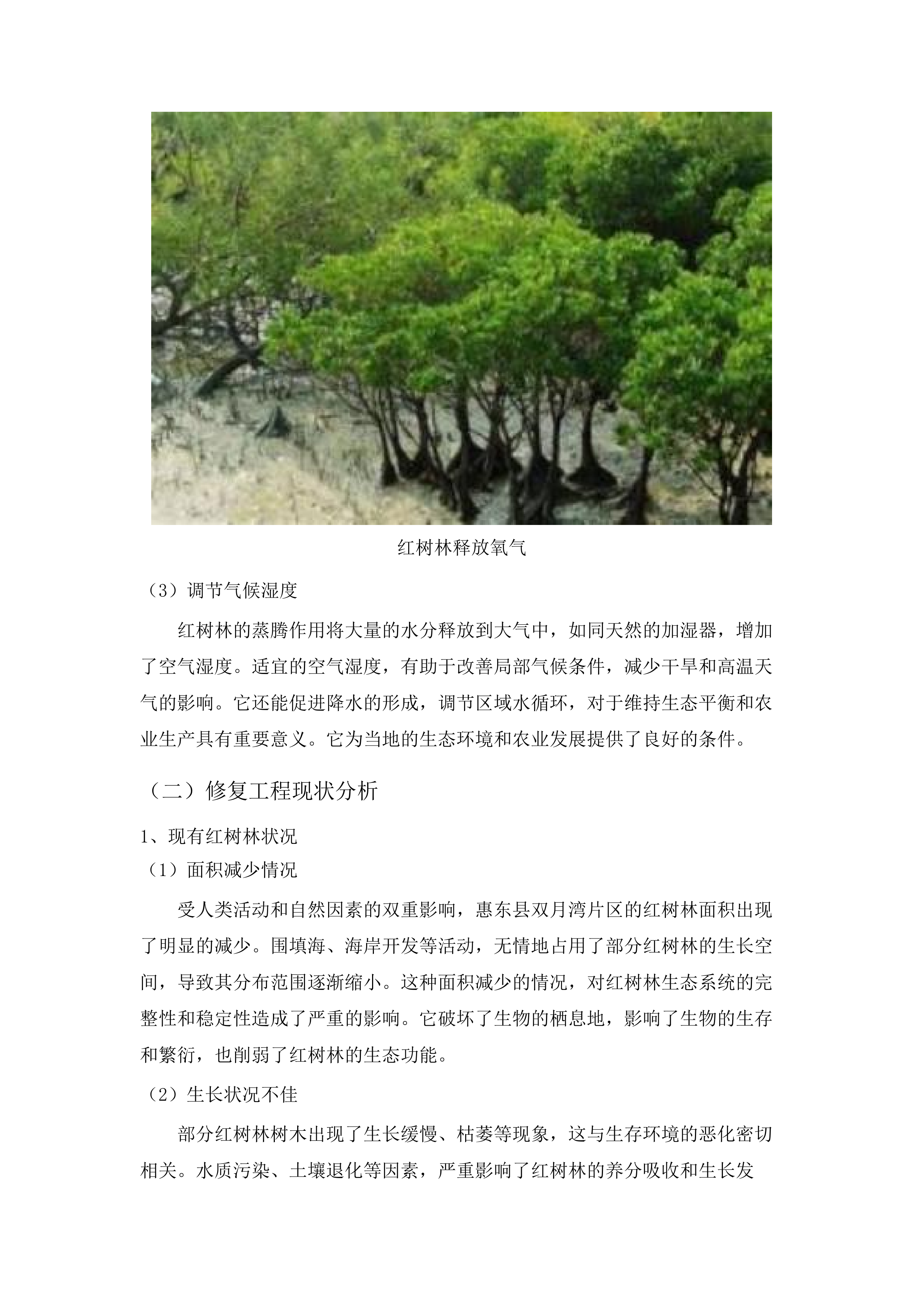 惠东县双月湾片区海洋生态保护修复工程项目水动力数值模拟分析服务项目.docx 第14页