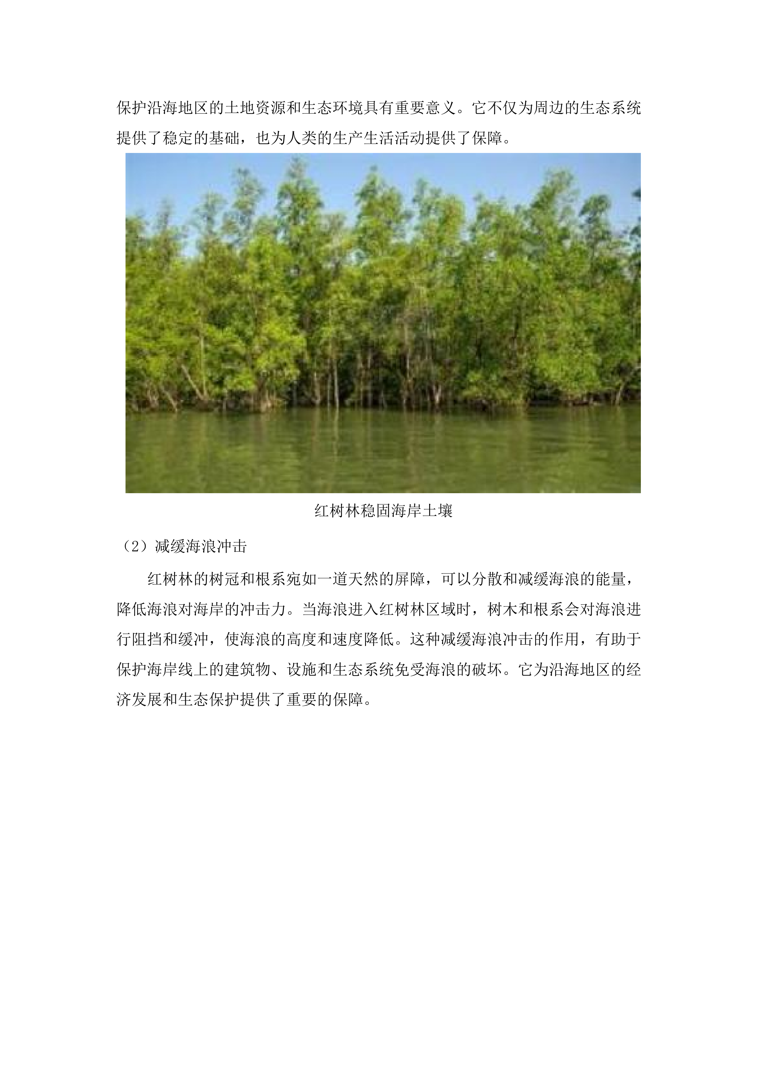 惠东县双月湾片区海洋生态保护修复工程项目水动力数值模拟分析服务项目.docx 第11页