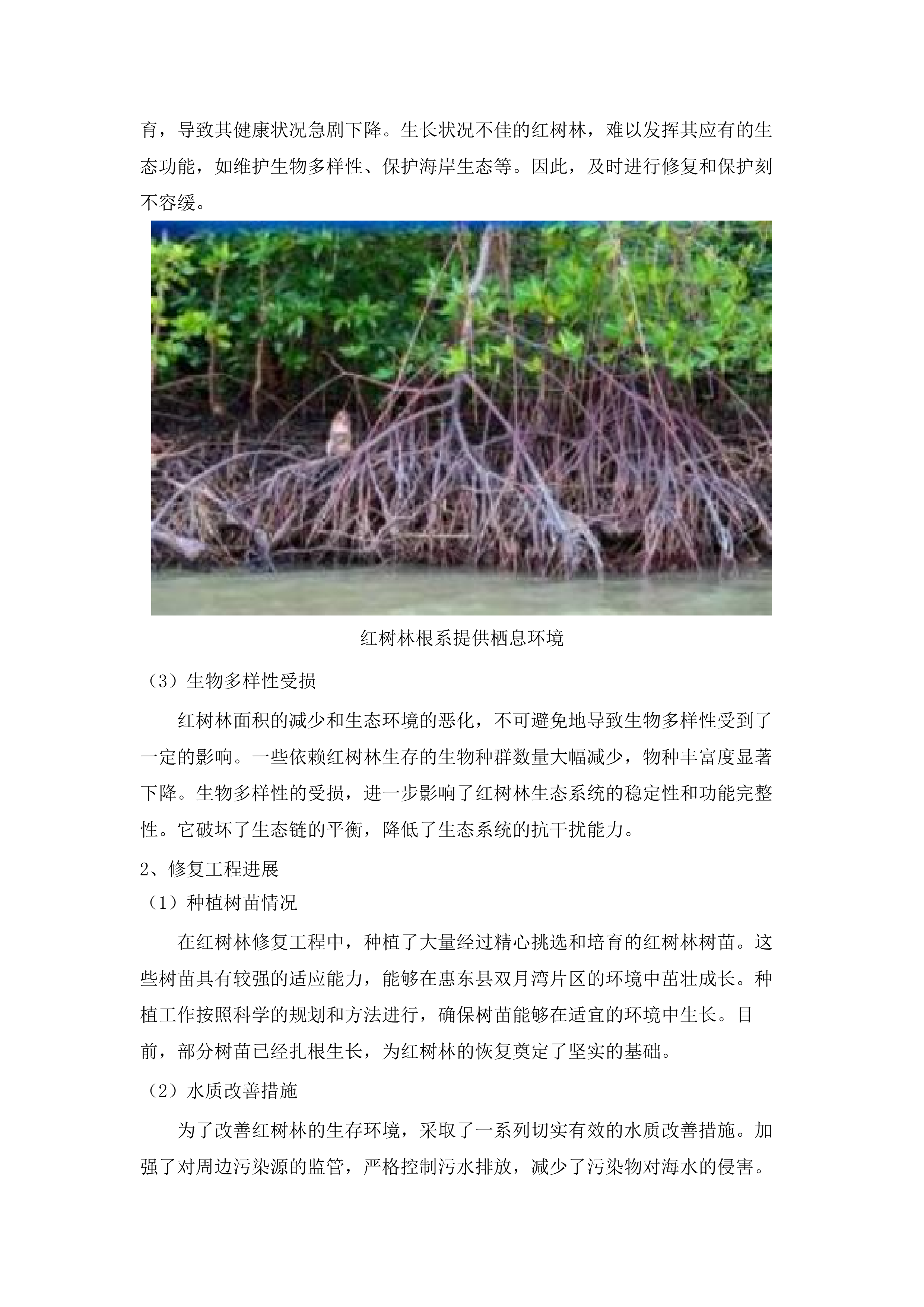 惠东县双月湾片区海洋生态保护修复工程项目水动力数值模拟分析服务项目.docx 第15页