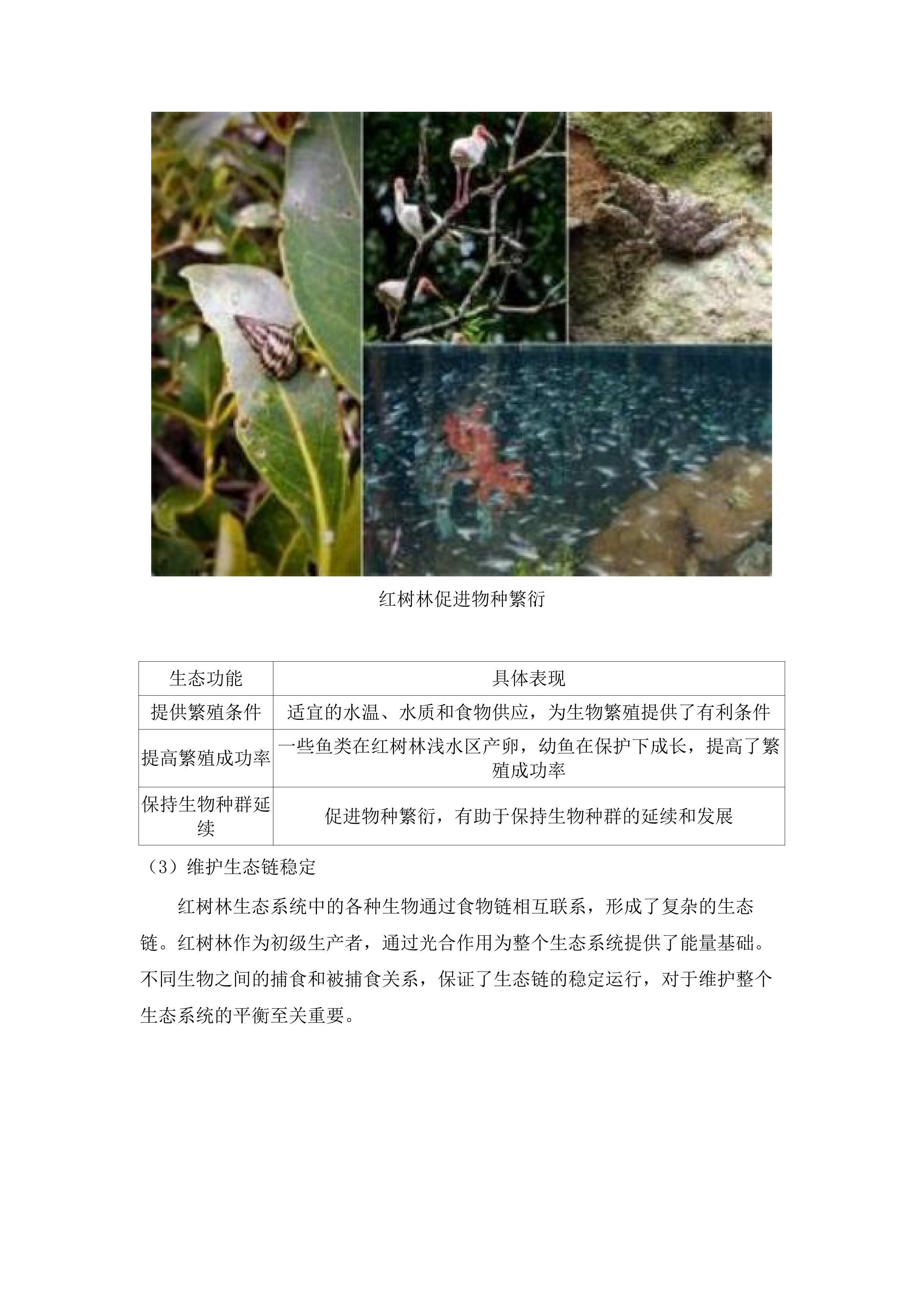 惠东县双月湾片区海洋生态保护修复工程项目水动力数值模拟分析服务项目.docx 第9页