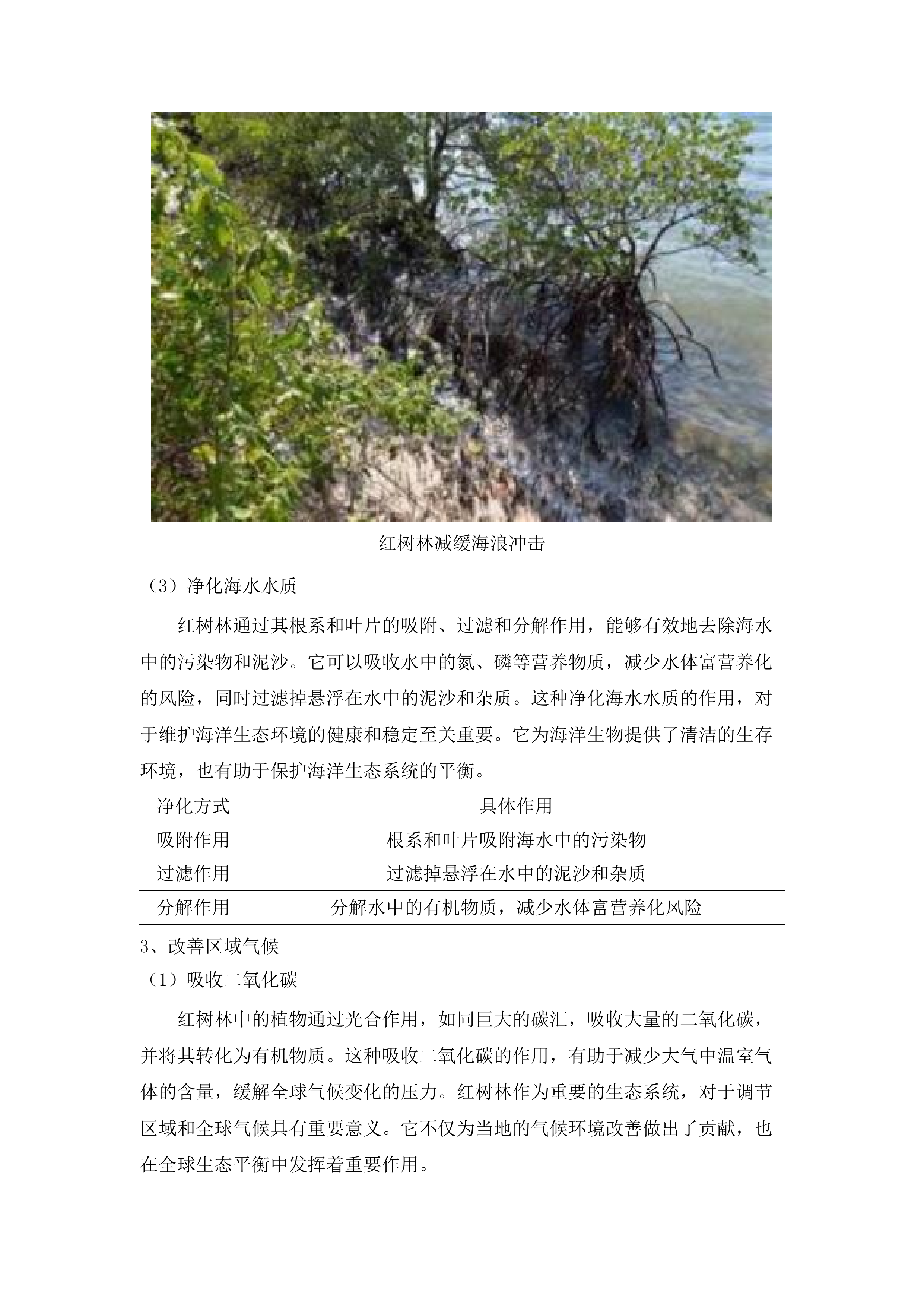 惠东县双月湾片区海洋生态保护修复工程项目水动力数值模拟分析服务项目.docx 第12页