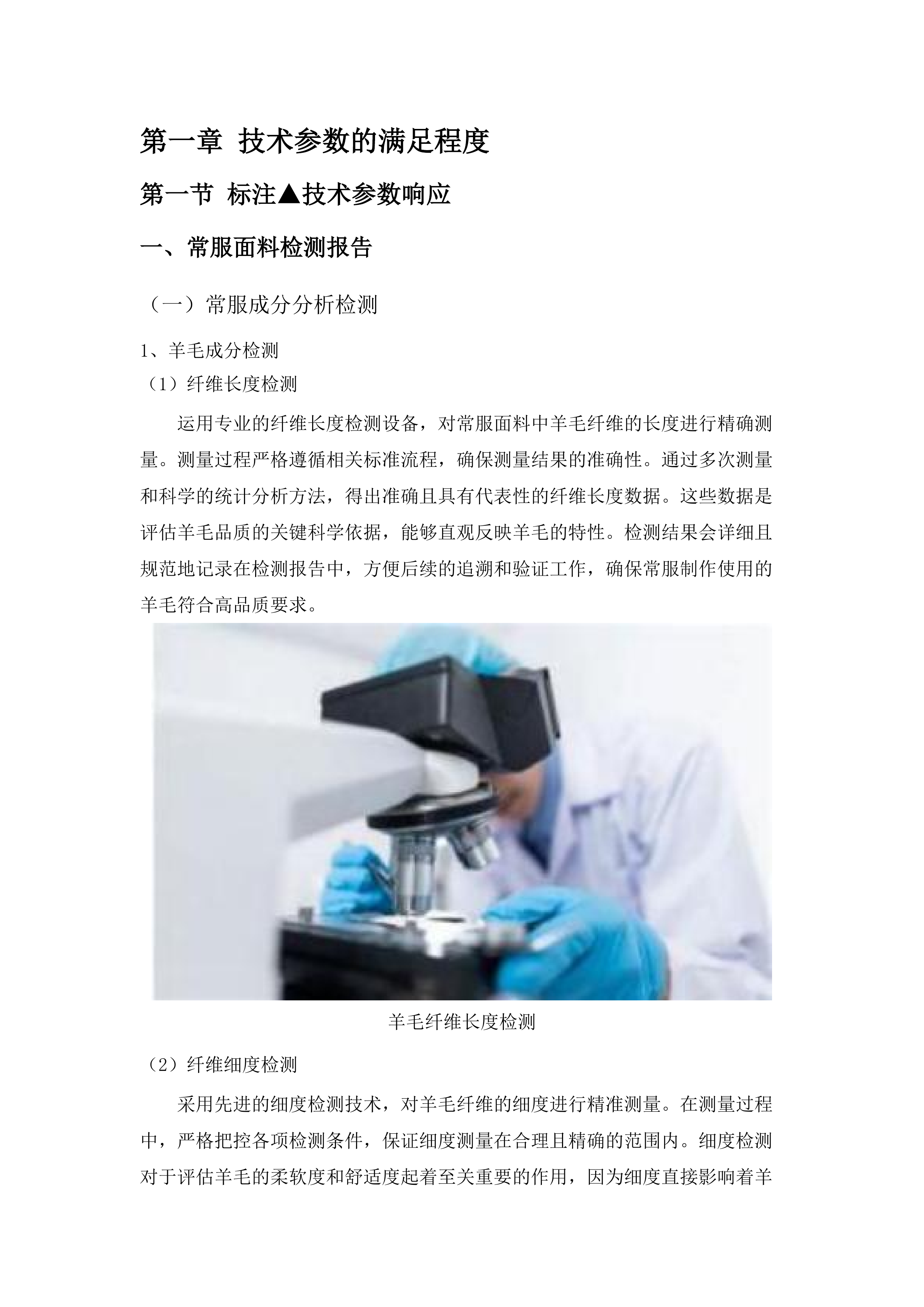 执法装备购置项目.docx 第11页