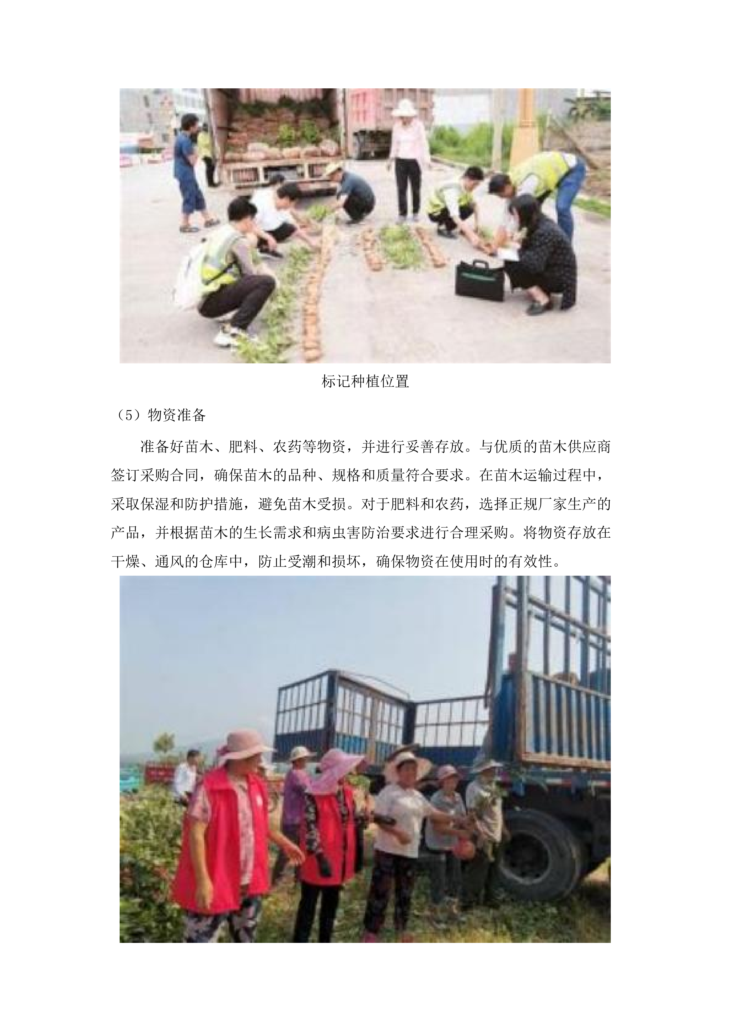 2025年增城区森林质量优化提升工程（派潭镇B标）.docx 第12页