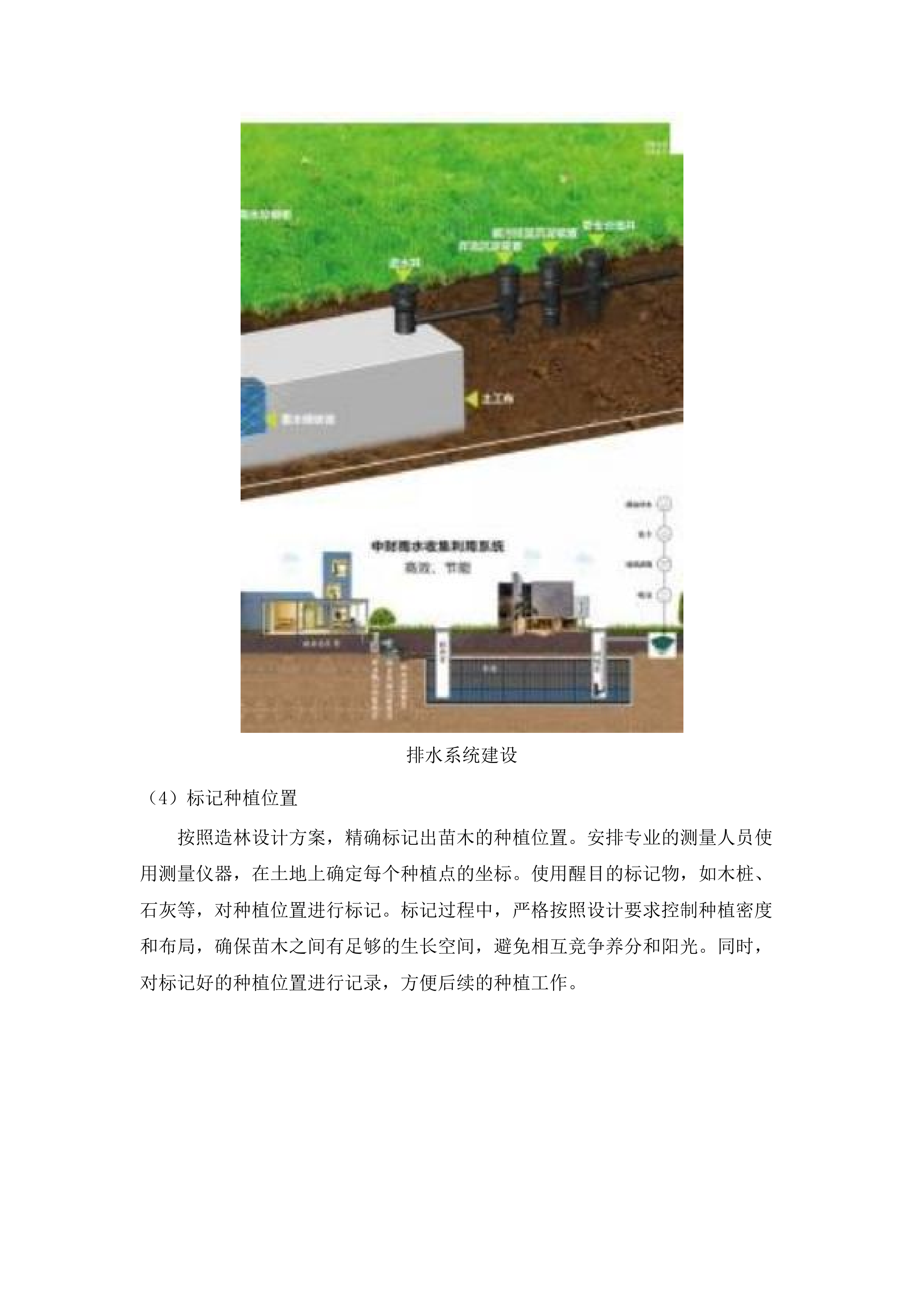 2025年增城区森林质量优化提升工程（派潭镇B标）.docx 第11页