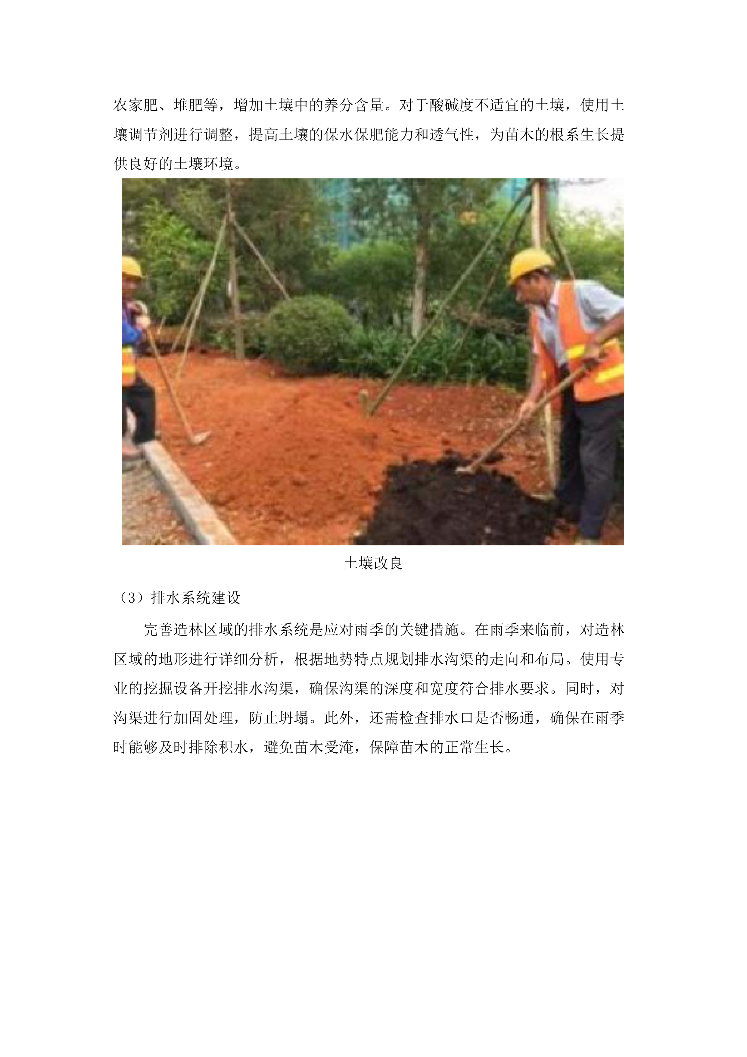 2025年增城区森林质量优化提升工程（派潭镇B标）.docx 第10页