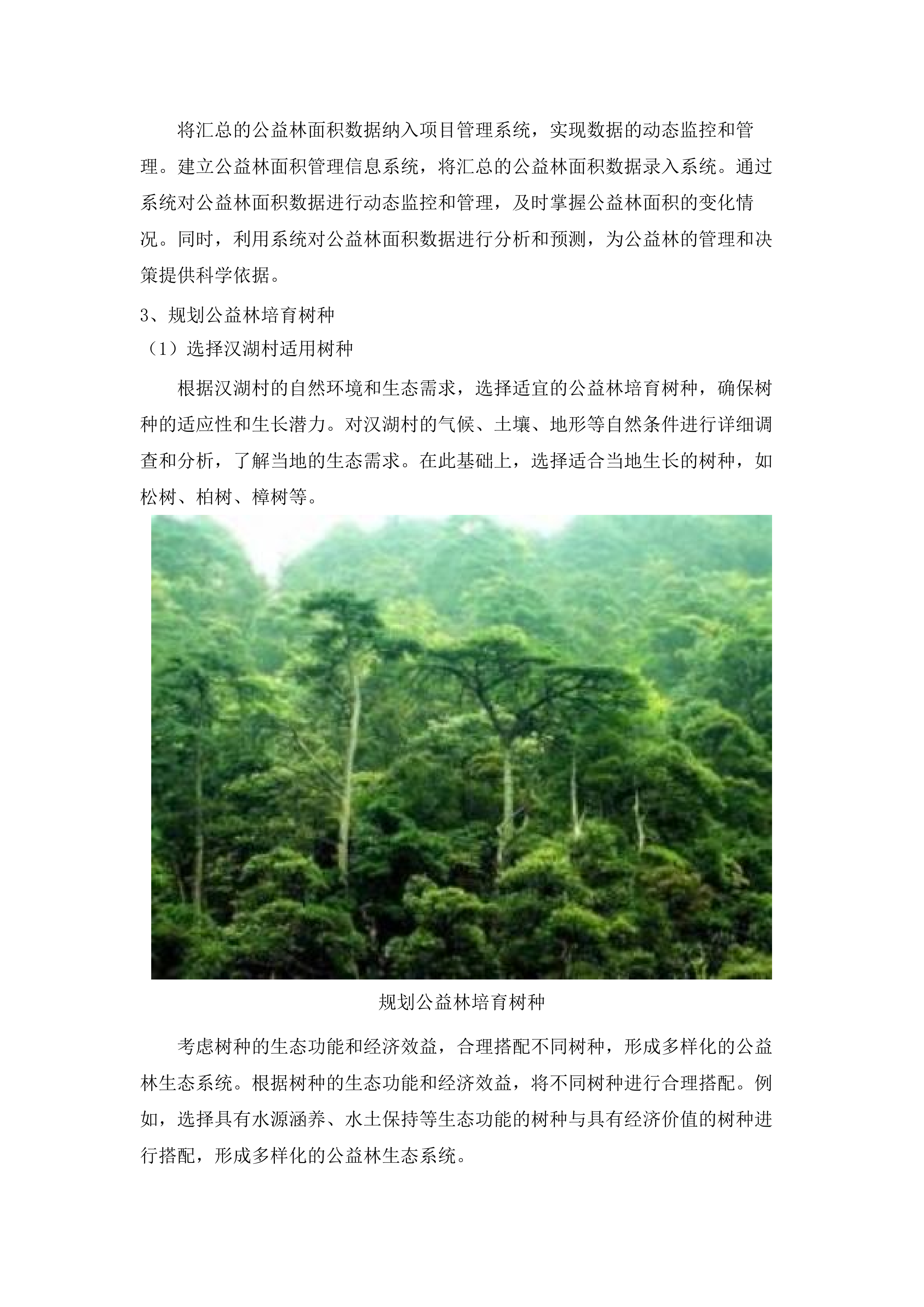 2025年增城区森林质量优化提升工程（派潭镇C标）.docx 第10页