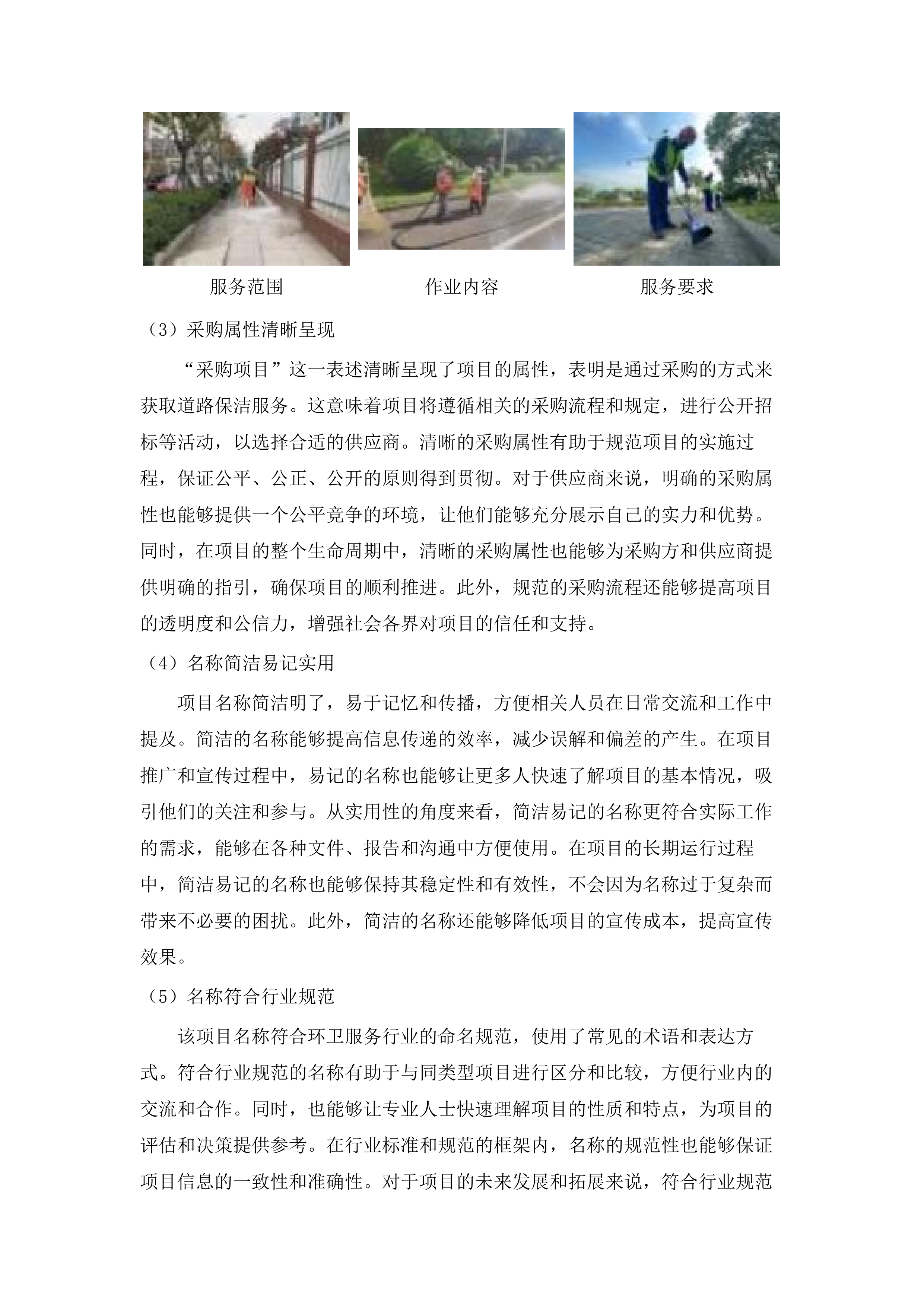 南村镇兴南大道、国泰路等道路保洁服务采购项目.docx 第10页