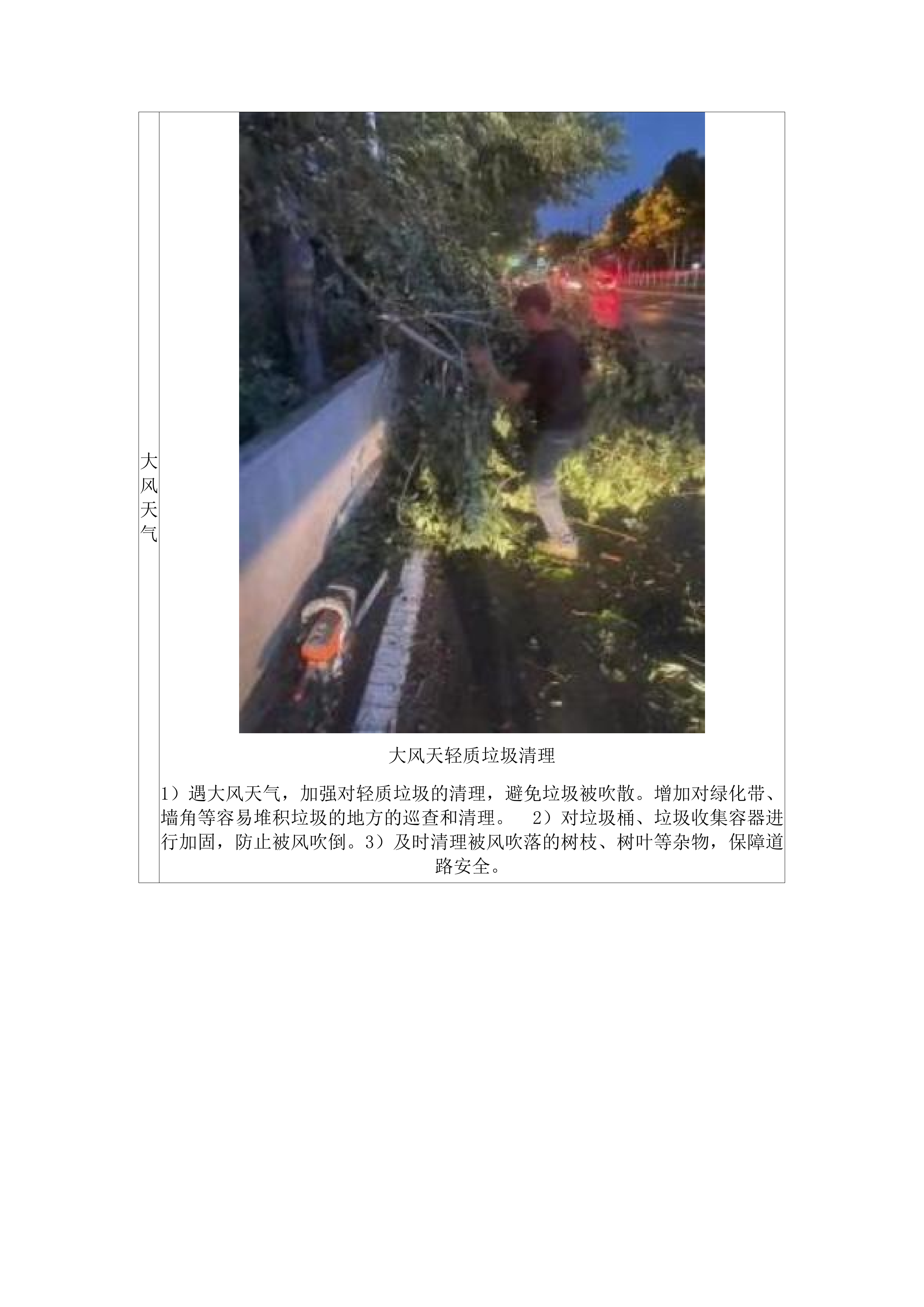 嘉禾街长红经济联合社环卫保洁项目.docx 第8页