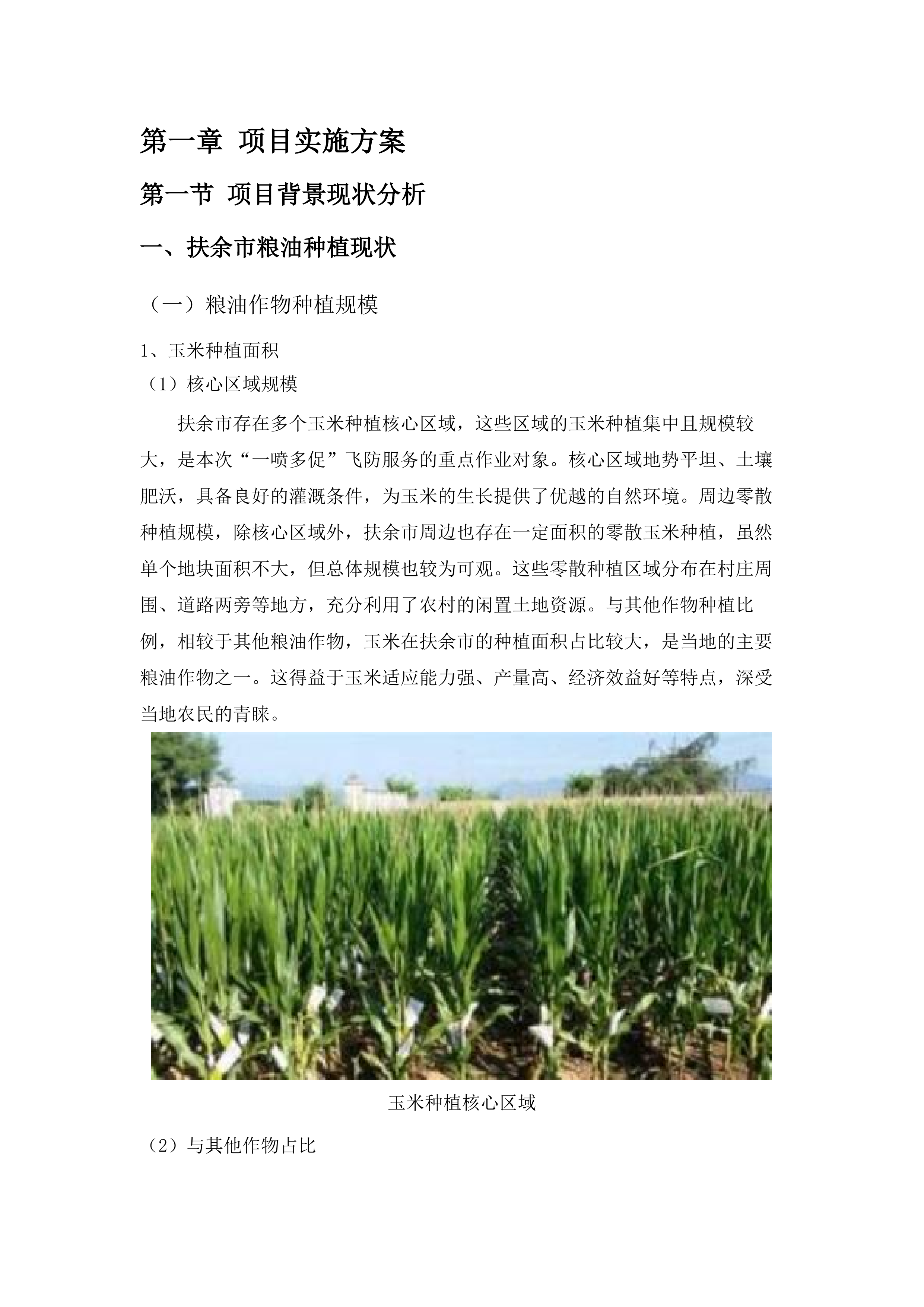 2025年扶余市粮油等重点作物绿色高产高效行动“一喷多促”飞防服务项目.docx 第8页