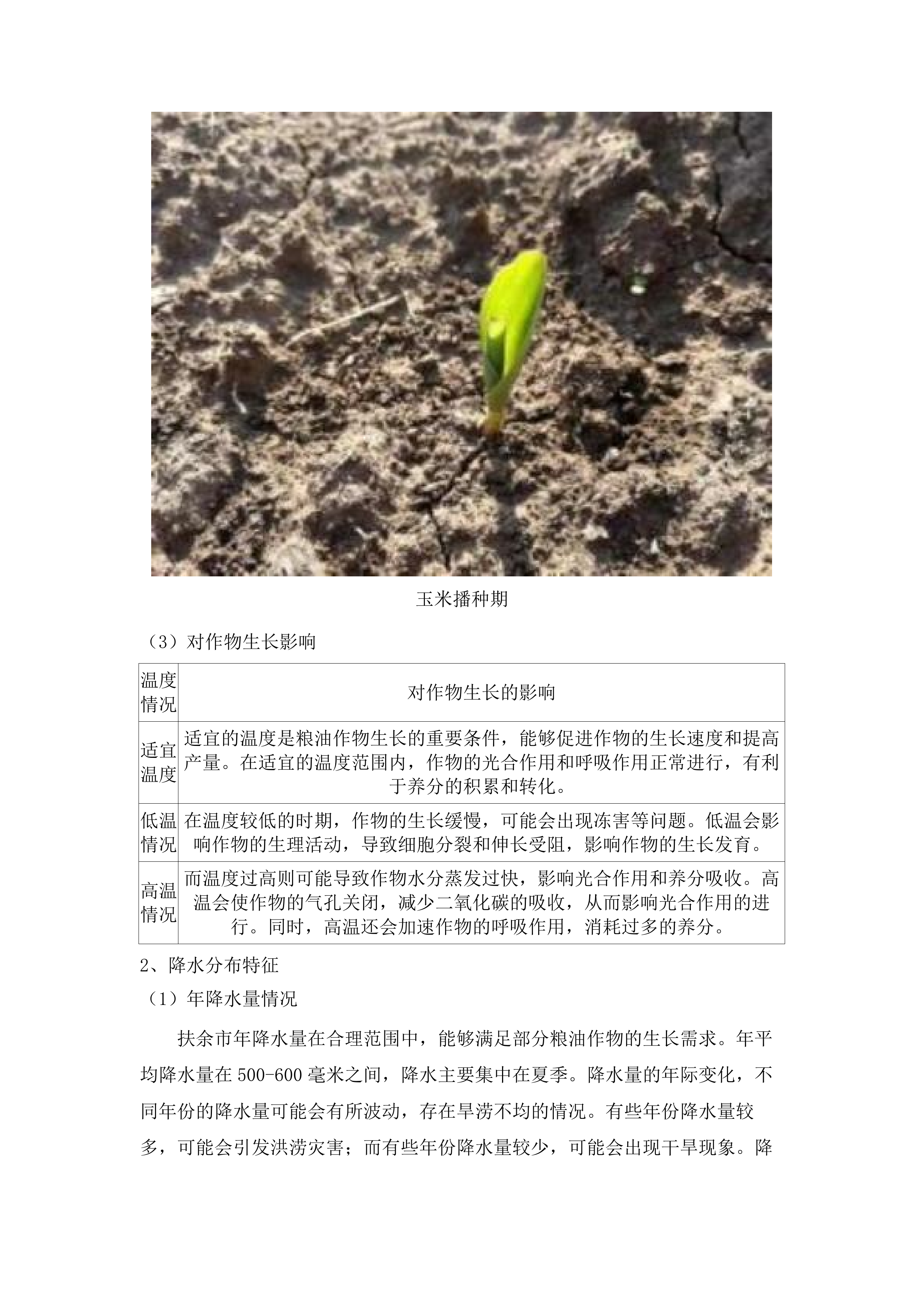 2025年扶余市粮油等重点作物绿色高产高效行动“一喷多促”飞防服务项目.docx 第13页