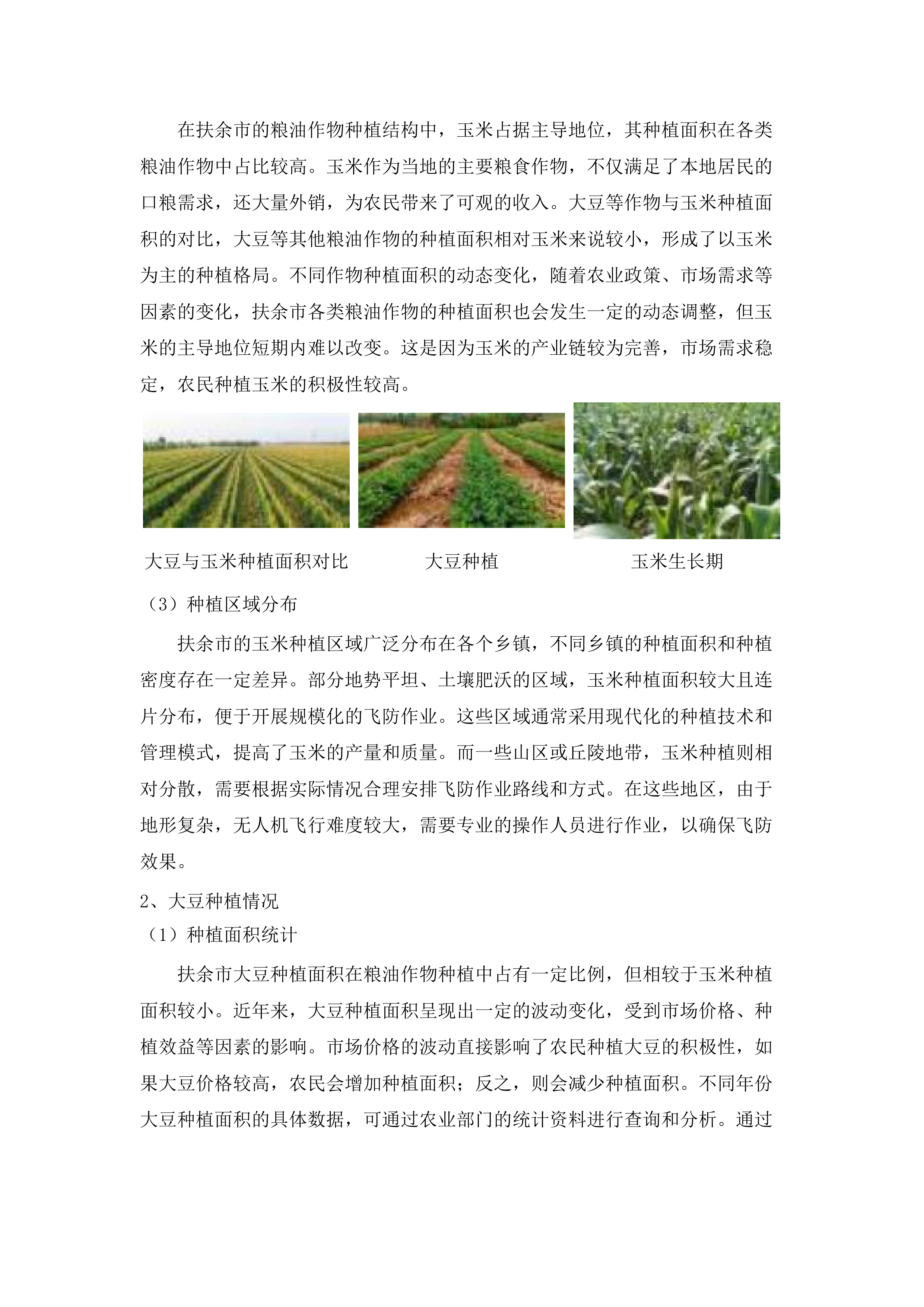 2025年扶余市粮油等重点作物绿色高产高效行动“一喷多促”飞防服务项目.docx 第9页