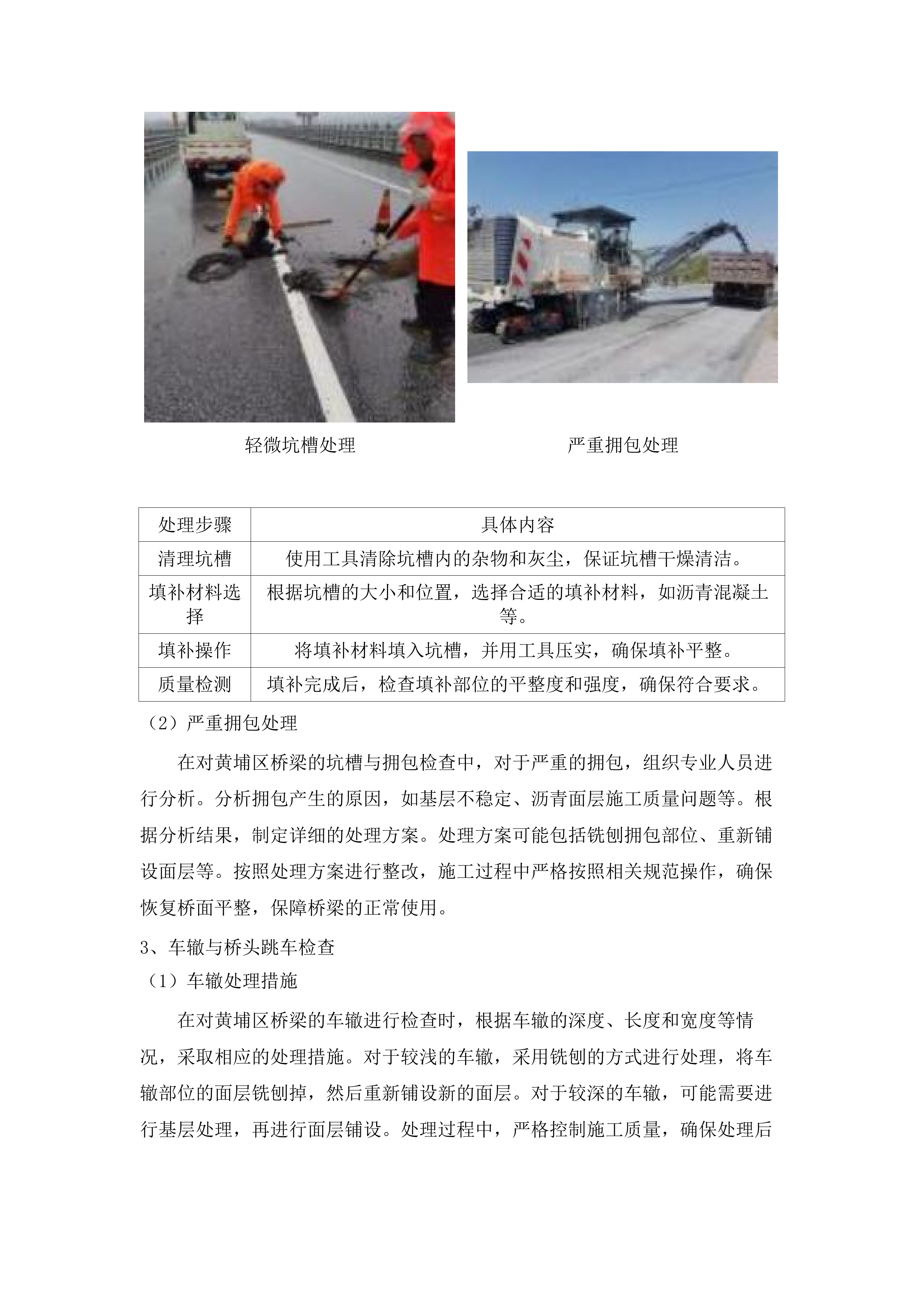 2025年黄埔区桥梁、隧道检测服务项目.docx 第10页