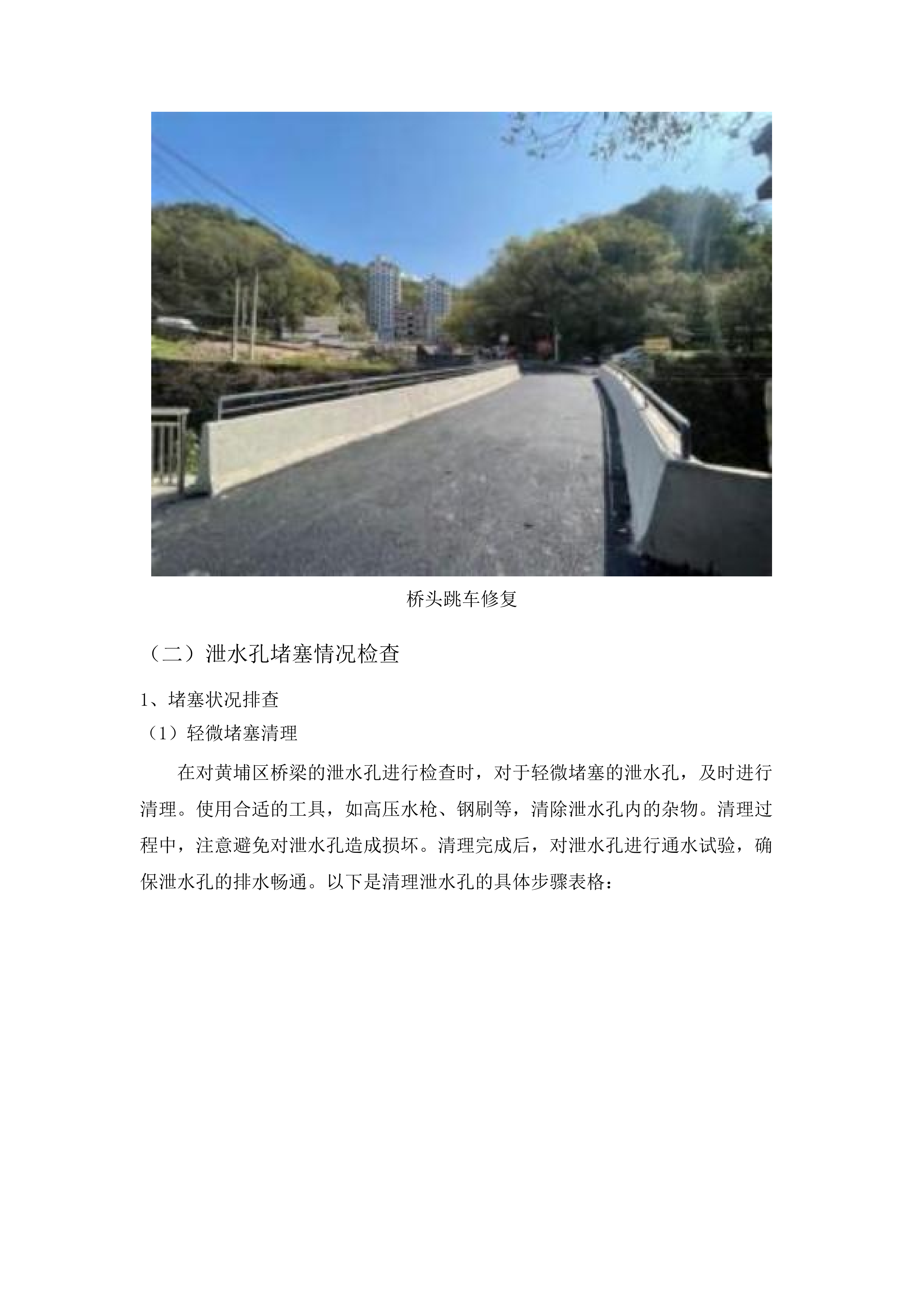 2025年黄埔区桥梁、隧道检测服务项目.docx 第12页