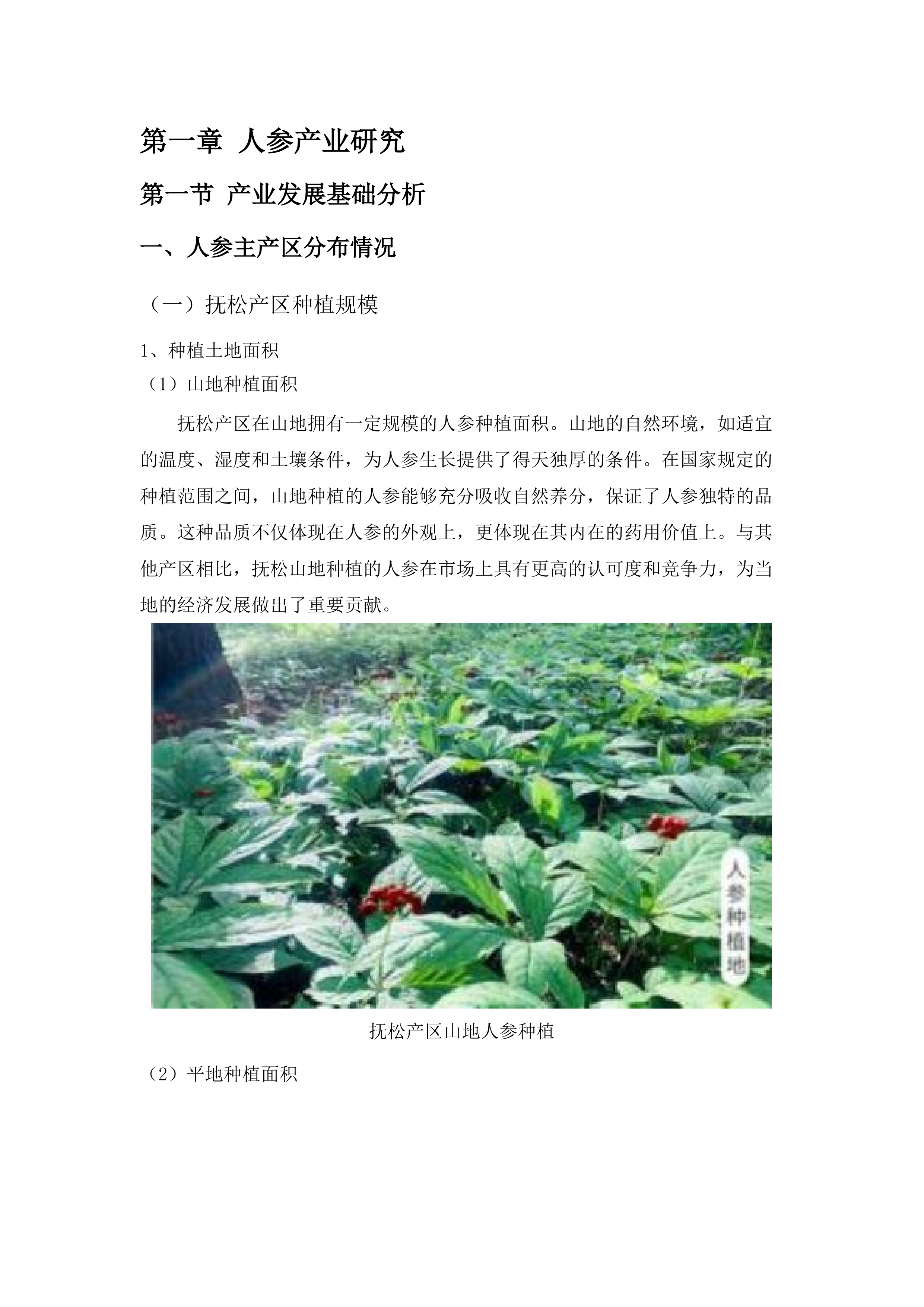 吉林省“464”重点产业链招商行动方案采购项目.docx 第7页