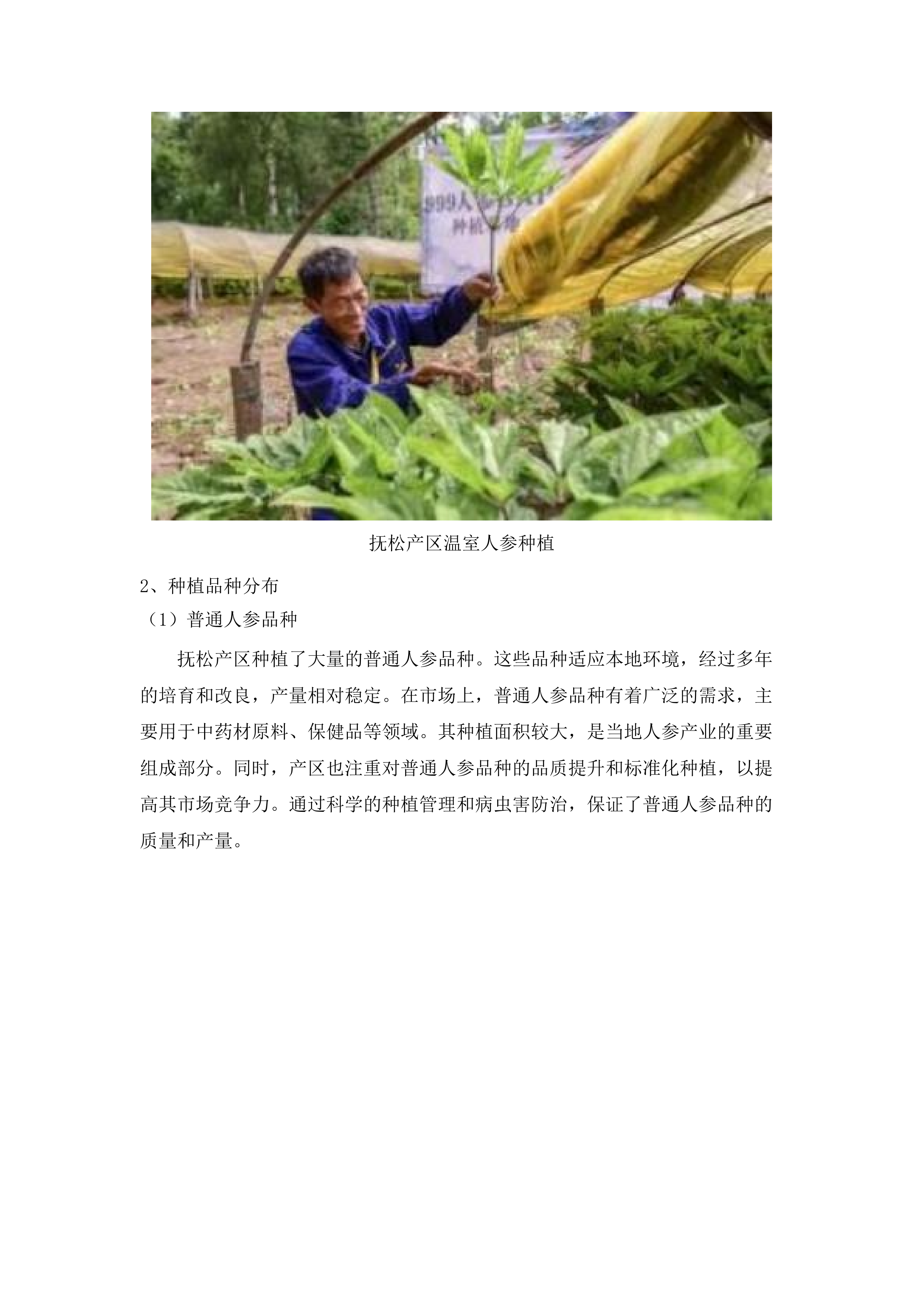 吉林省“464”重点产业链招商行动方案采购项目.docx 第9页