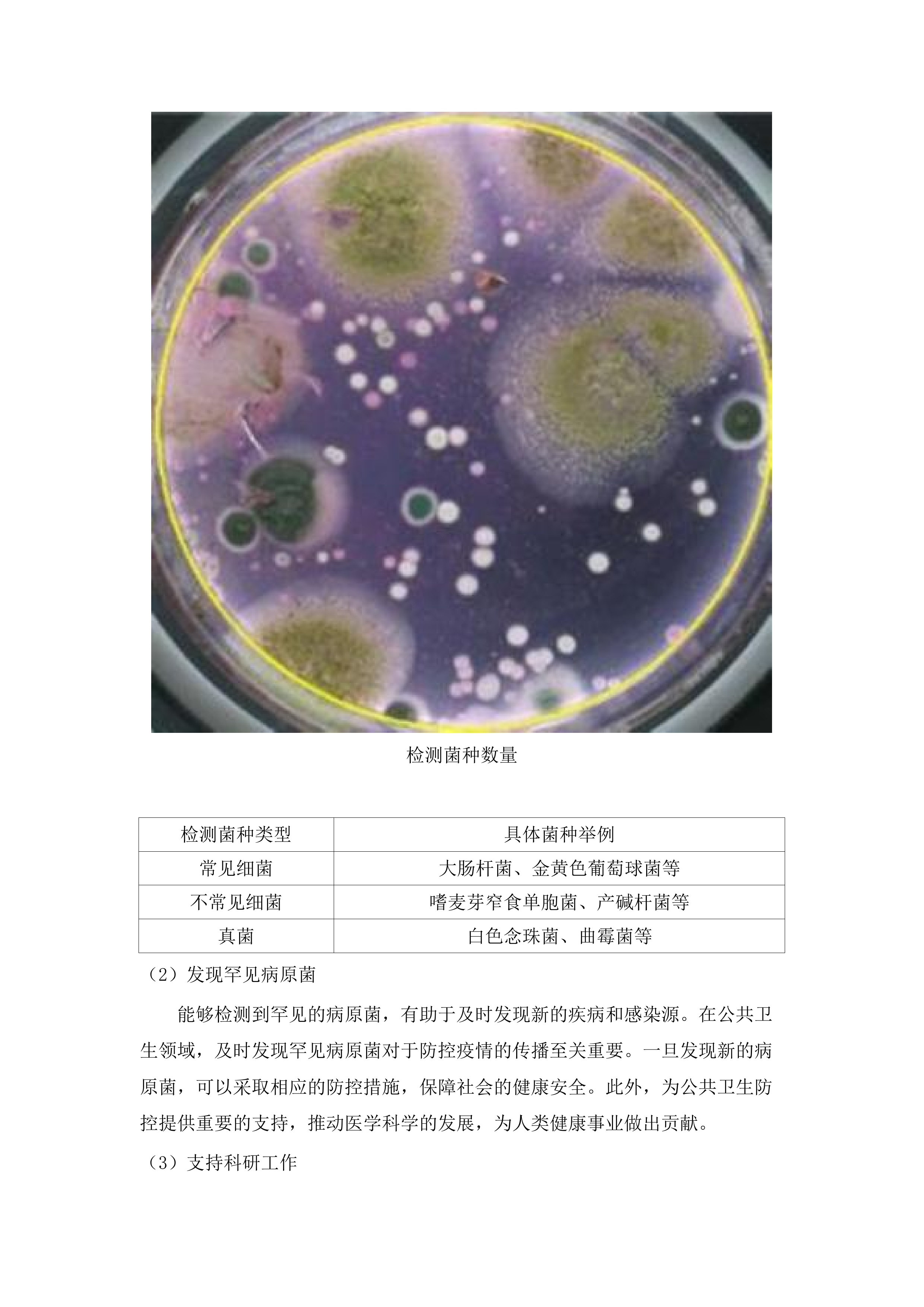 提升分级诊疗能力建设项目第一批.docx 第10页