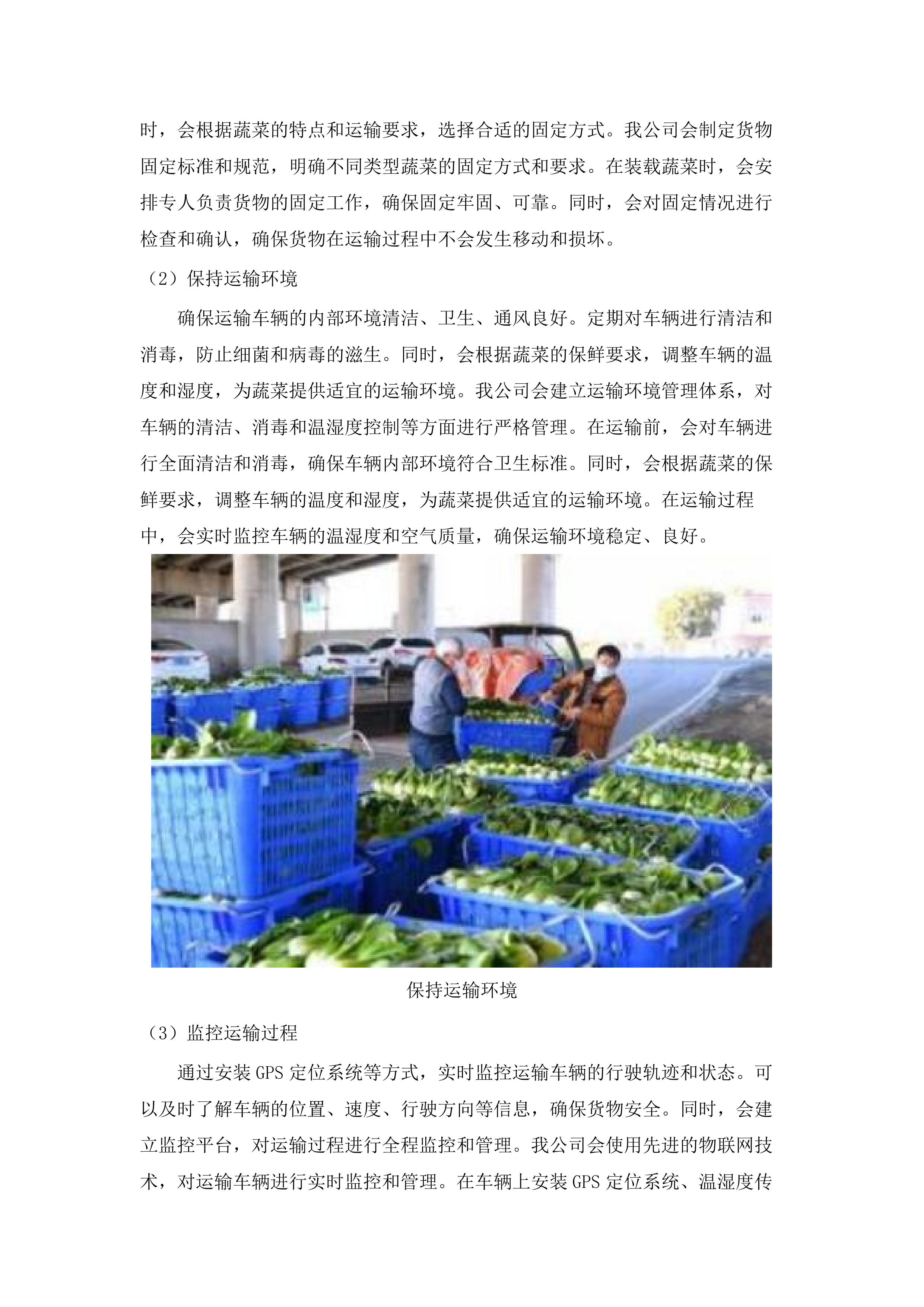 红旗镇机关食堂（含便民服务中心食堂）瓜果蔬菜类及主副食品采购项目.docx 第11页