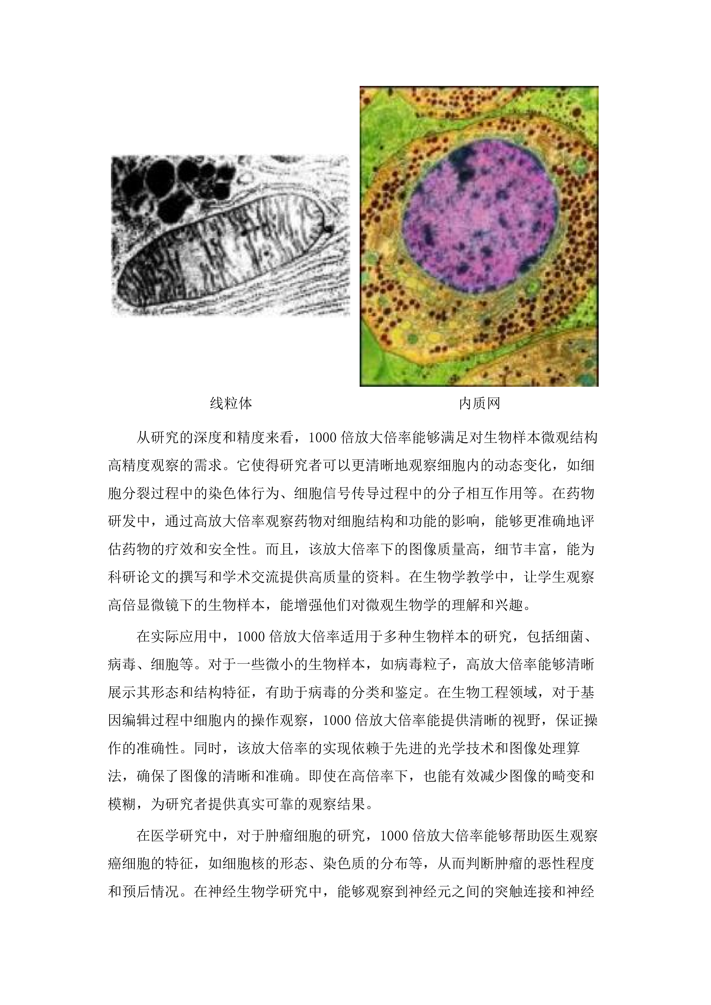 2025-0932024年资产配置计划余量资金504万设备采购文件.docx 第10页