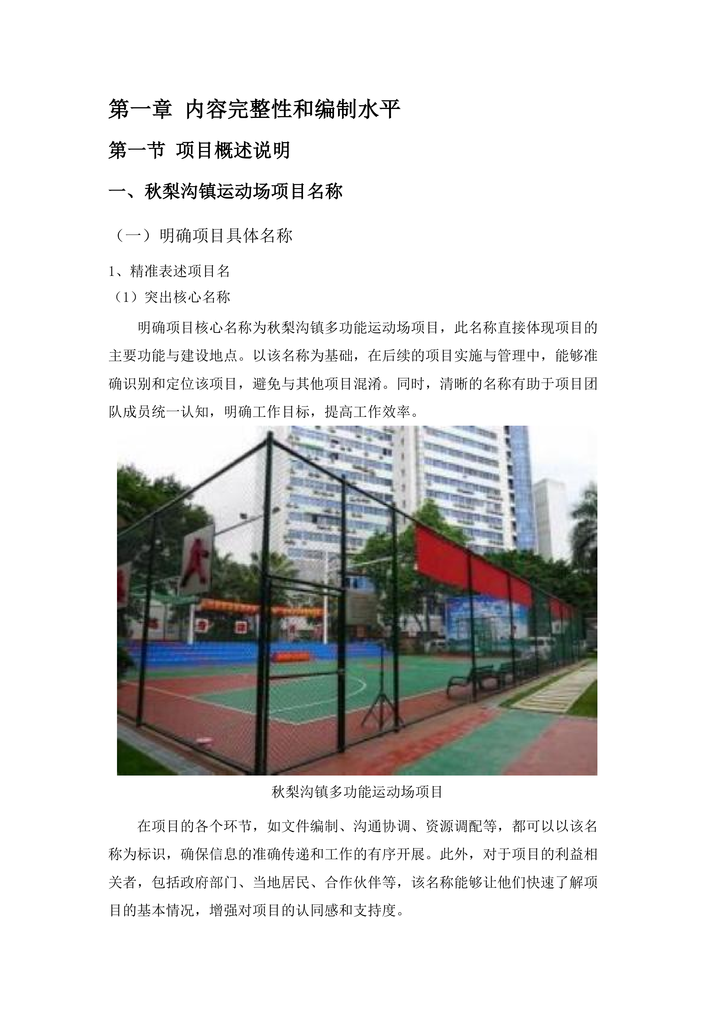 秋梨沟镇多功能运动场项目.docx 第11页