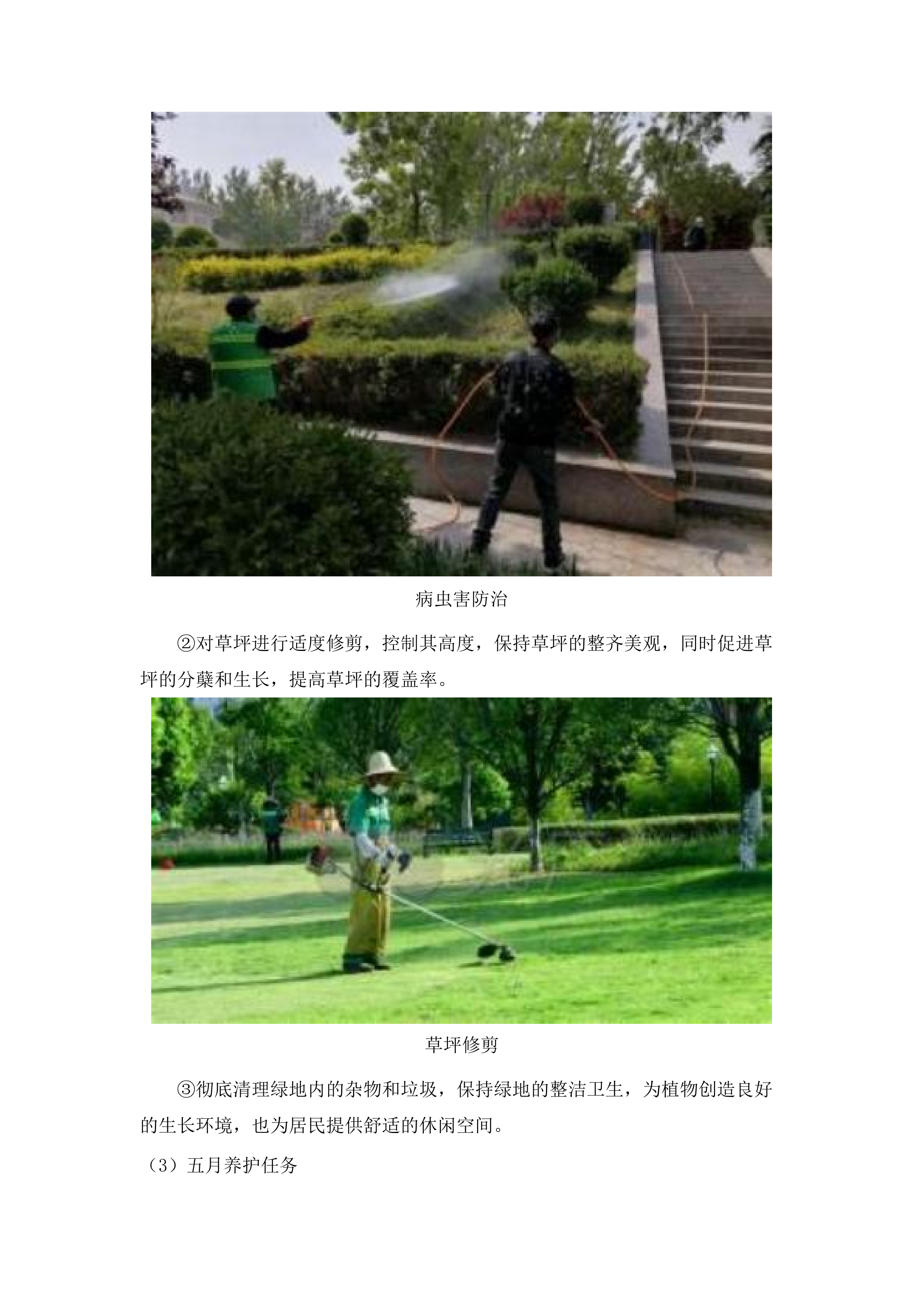 乐都区政府购买城区园林绿地养护服务.docx 第10页