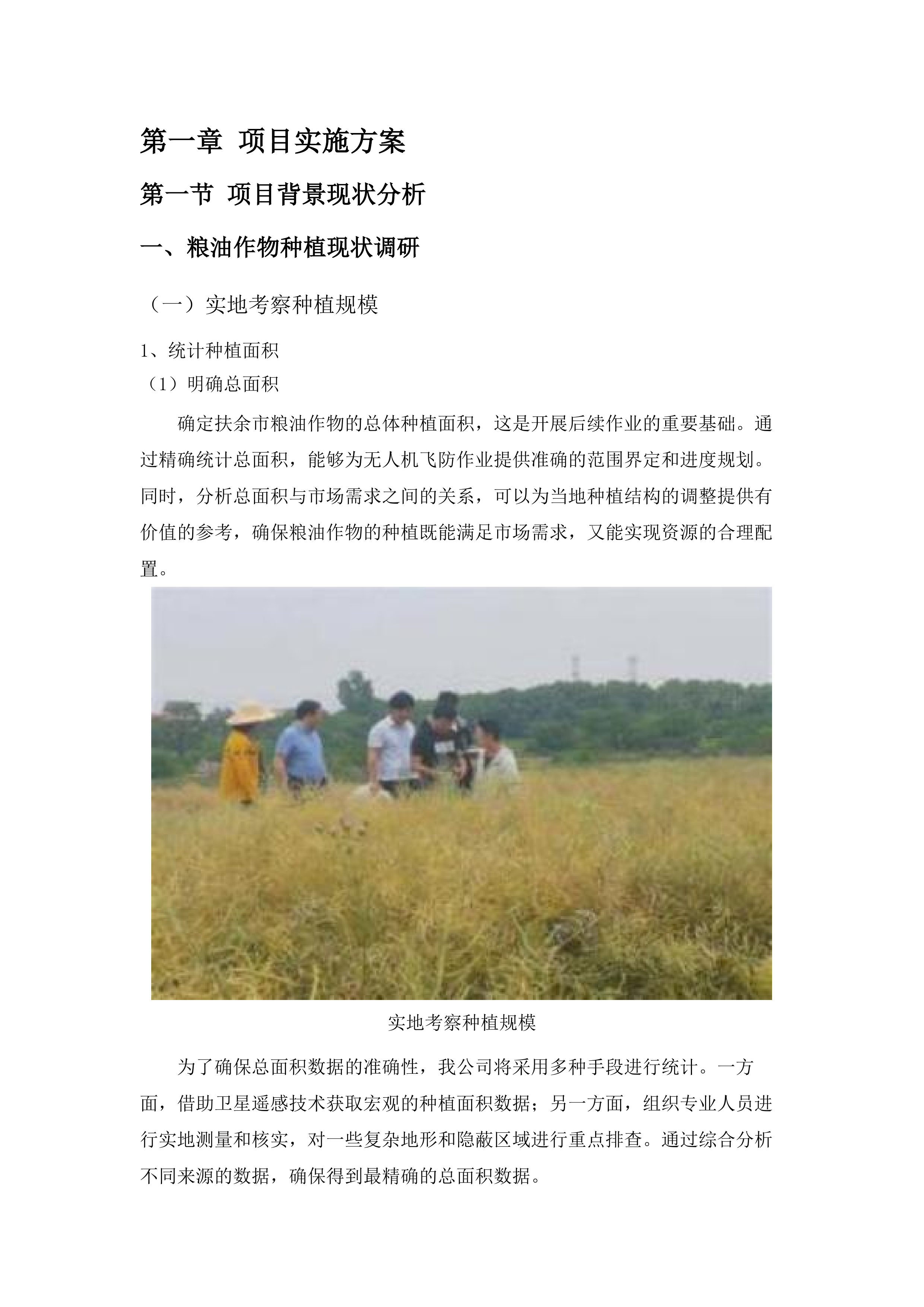 扶余市粮油等重点作物绿色高产高效行动“一喷多促”飞防服务项目.docx 第9页