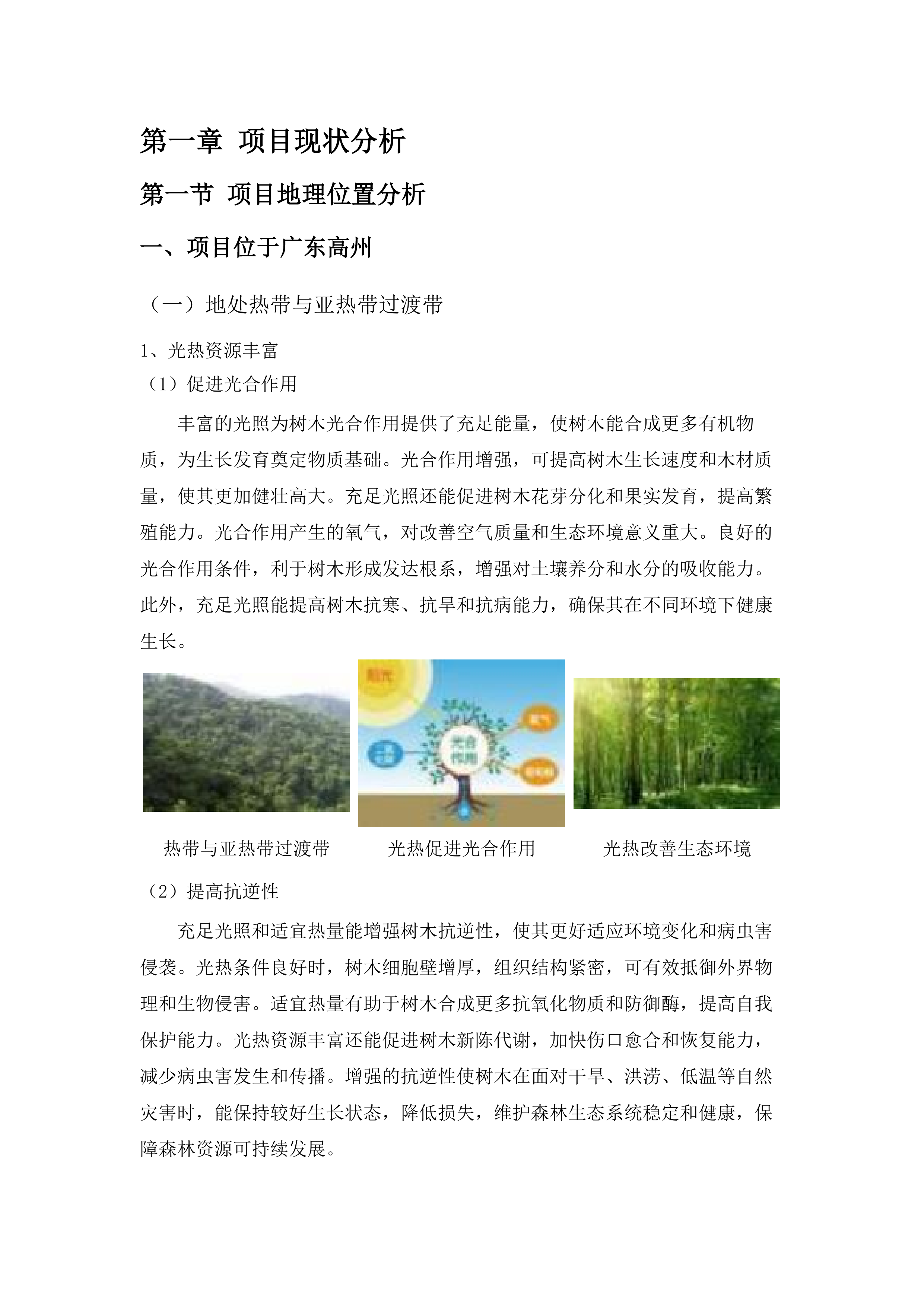高州市森林质量精准提升行动林分优化项目.docx 第9页