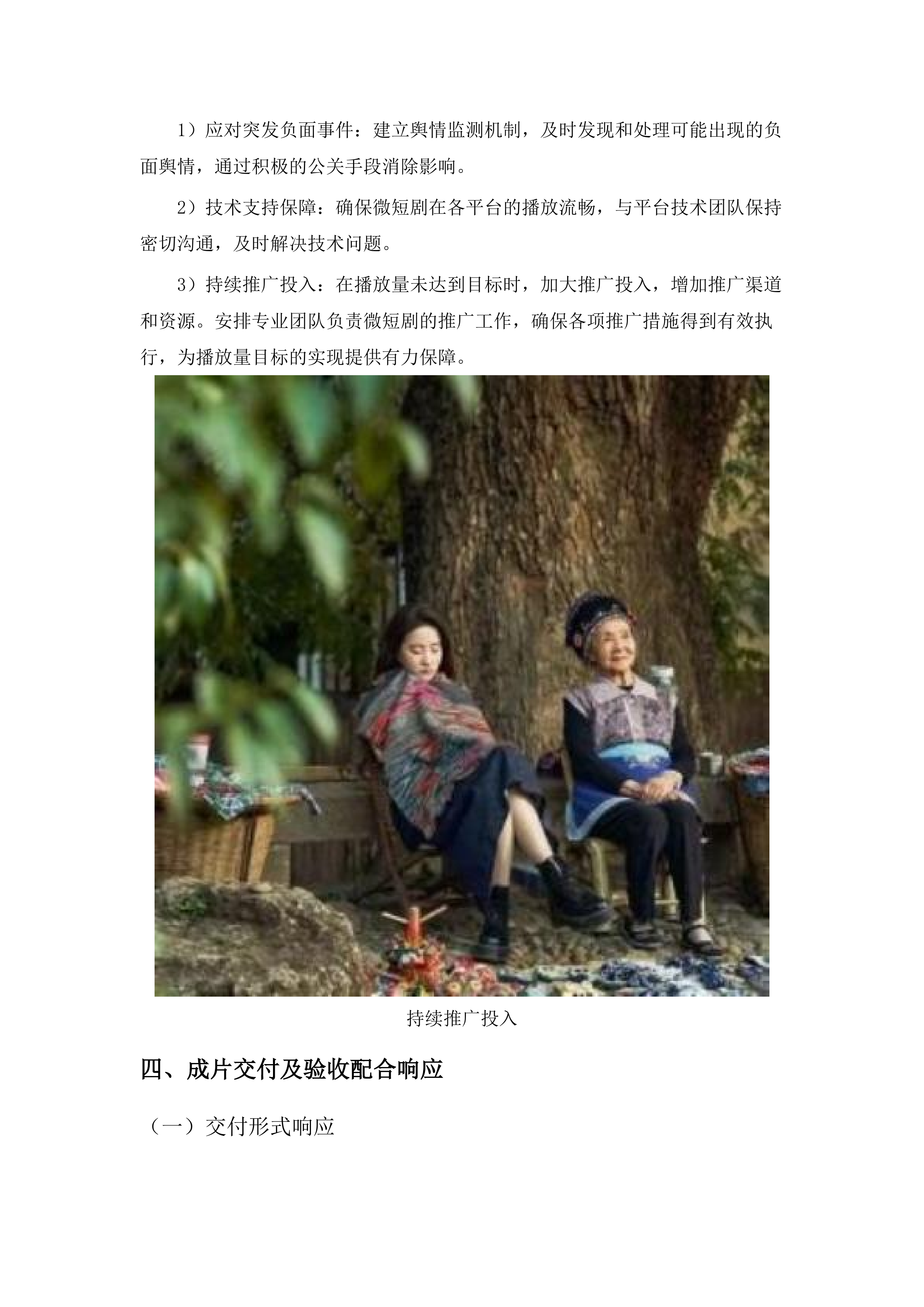 中国共产党普洱市思茅区委员会宣传部文旅微短剧拍摄项目.docx 第12页