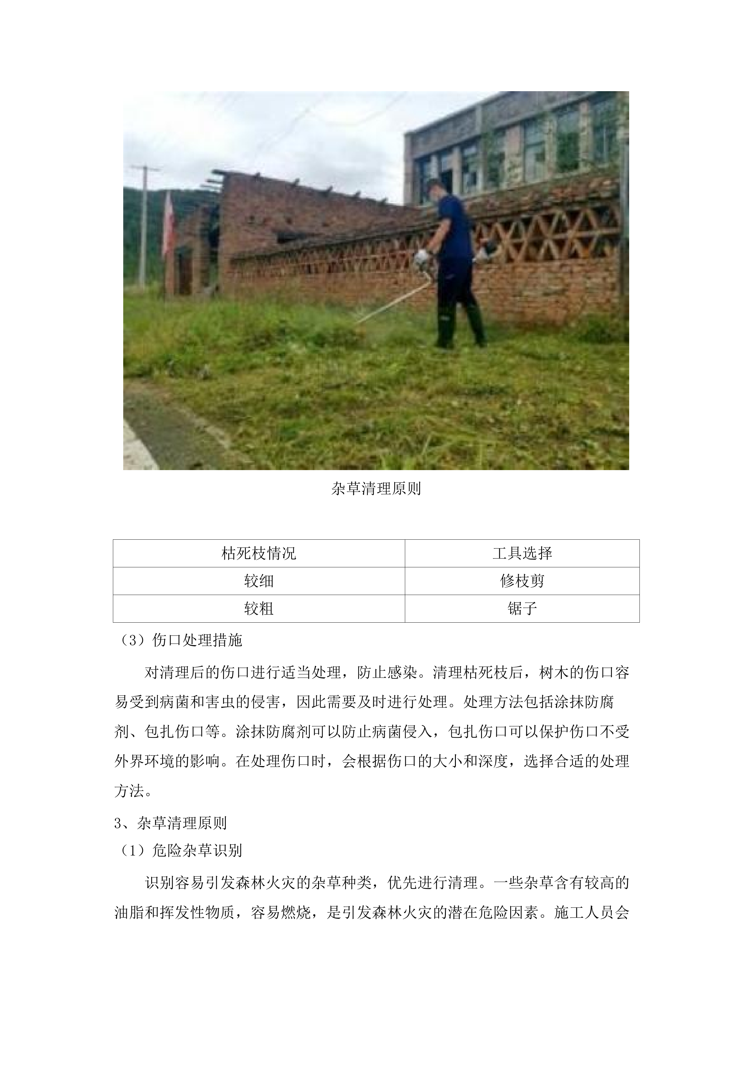 罗定市2025年森林抚育项目.docx 第14页