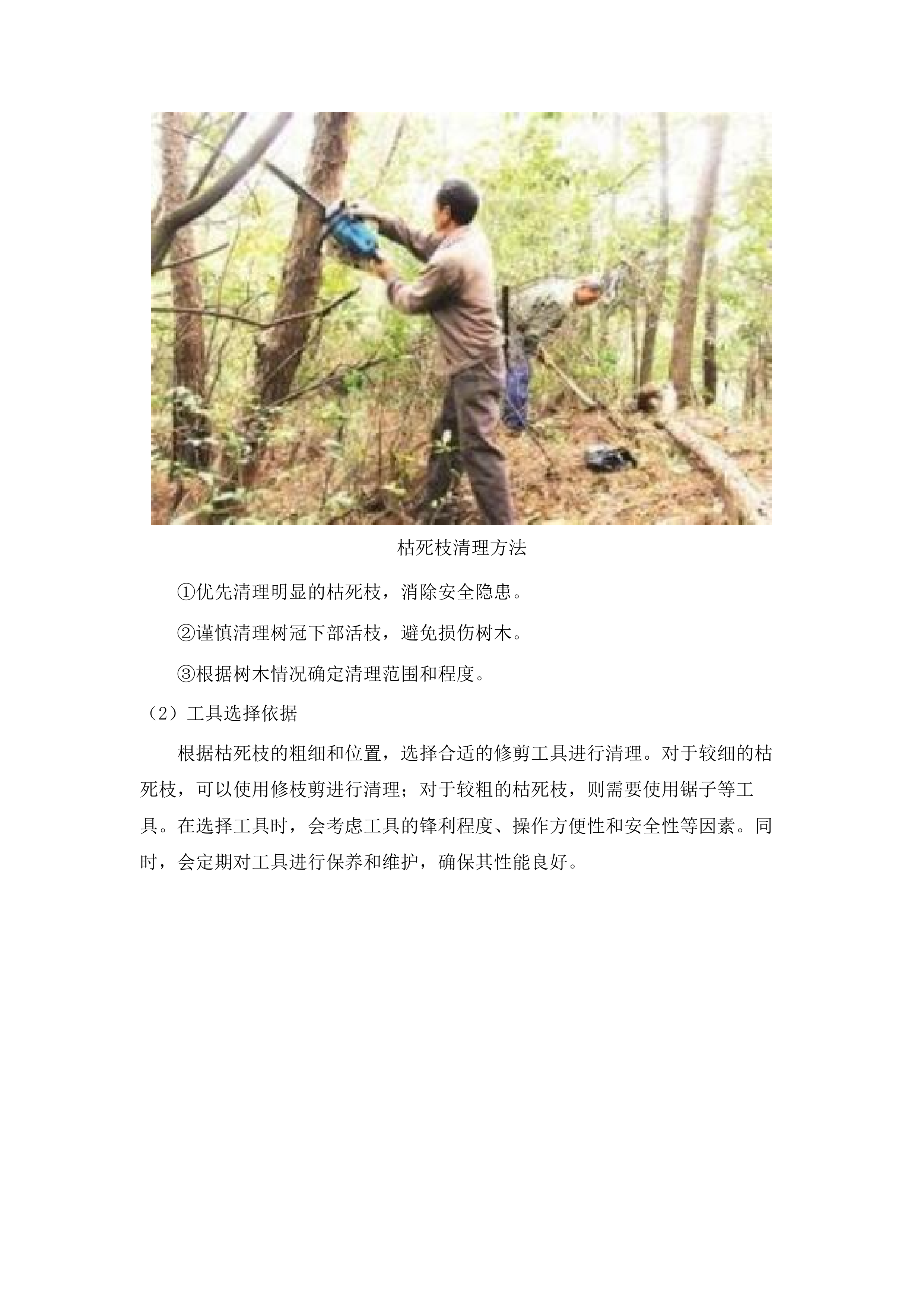 罗定市2025年森林抚育项目.docx 第13页