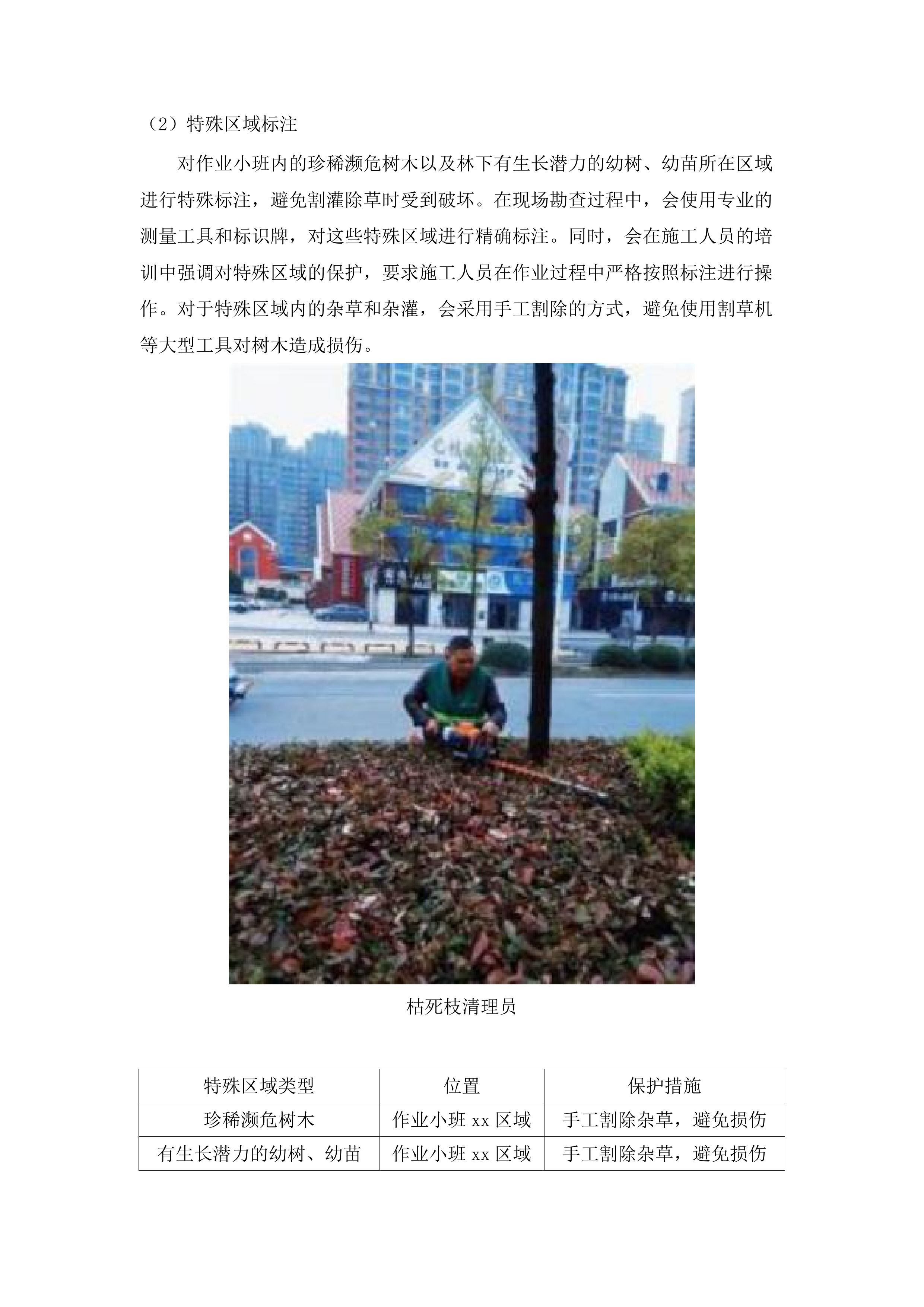 罗定市2025年森林抚育项目.docx 第9页