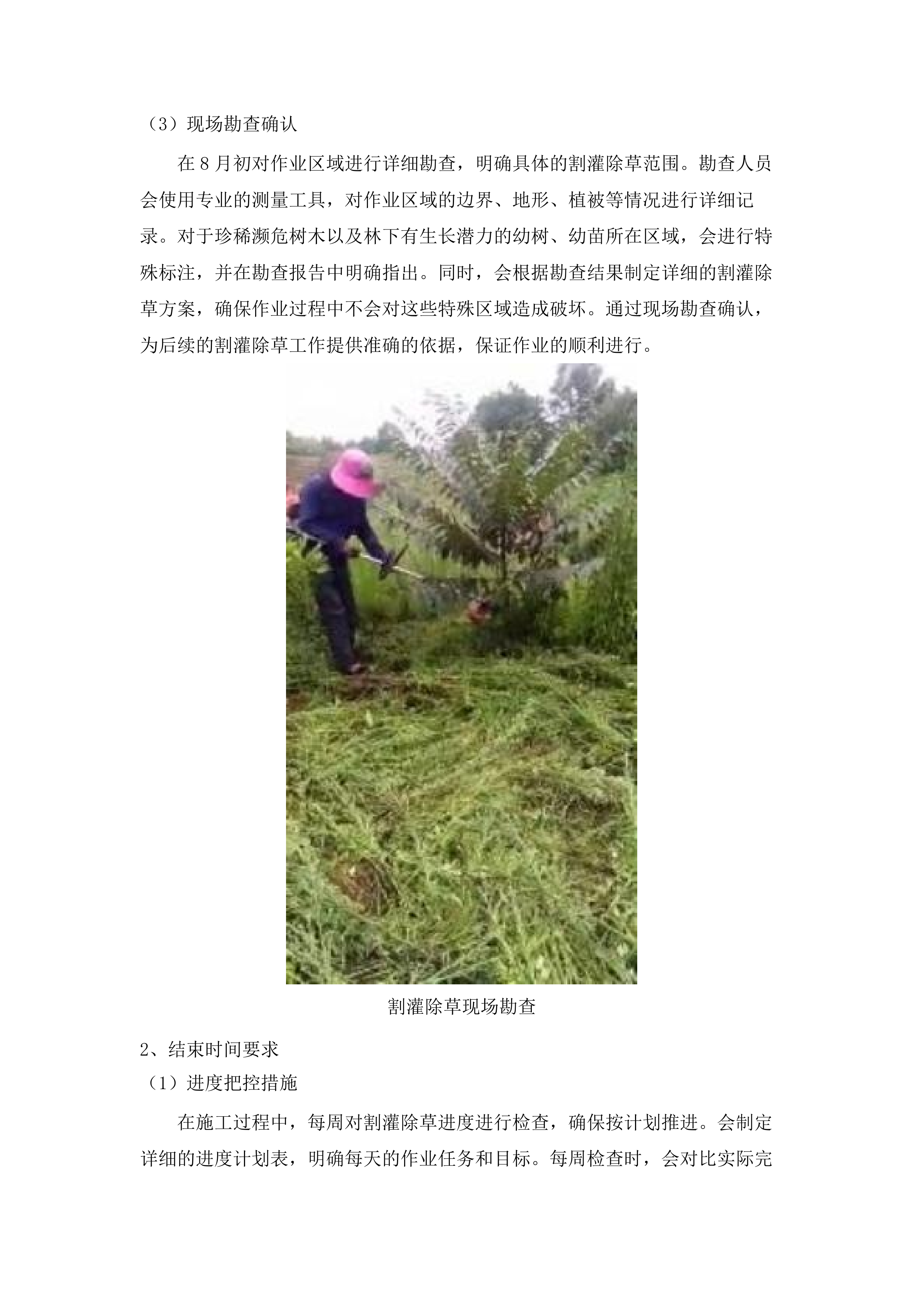 罗定市2025年森林抚育项目.docx 第6页