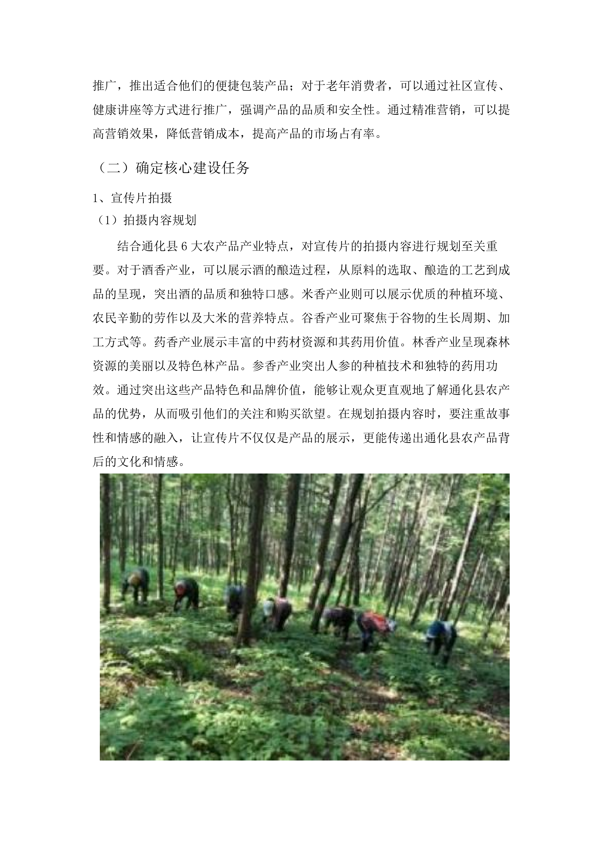 通化县农产品上行品牌体系建设项目.docx 第13页