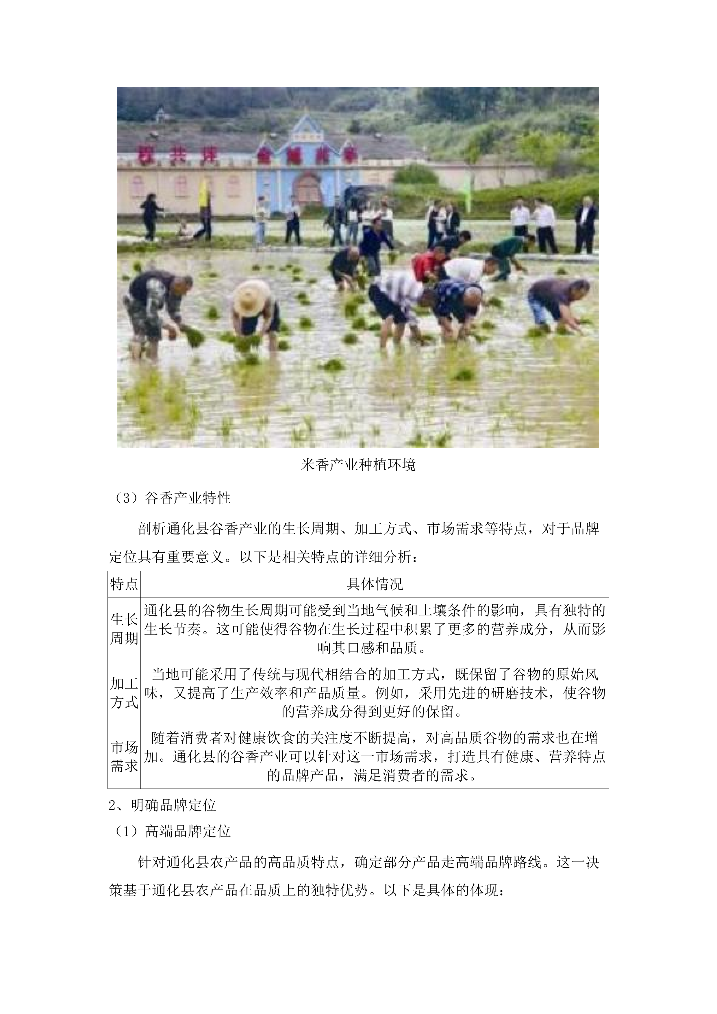 通化县农产品上行品牌体系建设项目.docx 第10页