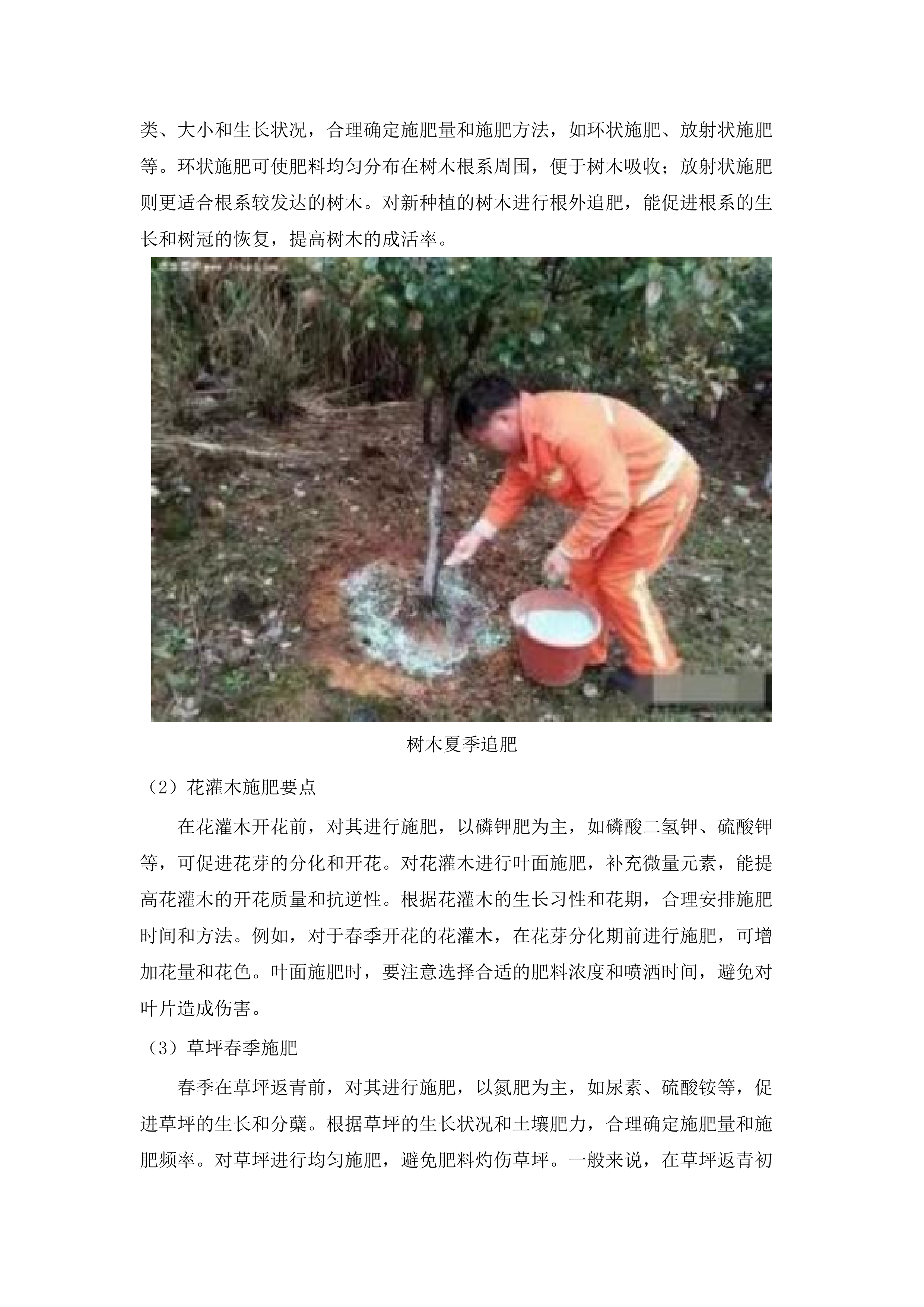 仁化县城市园林管理所新环丹公路沿线整治绿化养护项目投标方案.docx 第15页