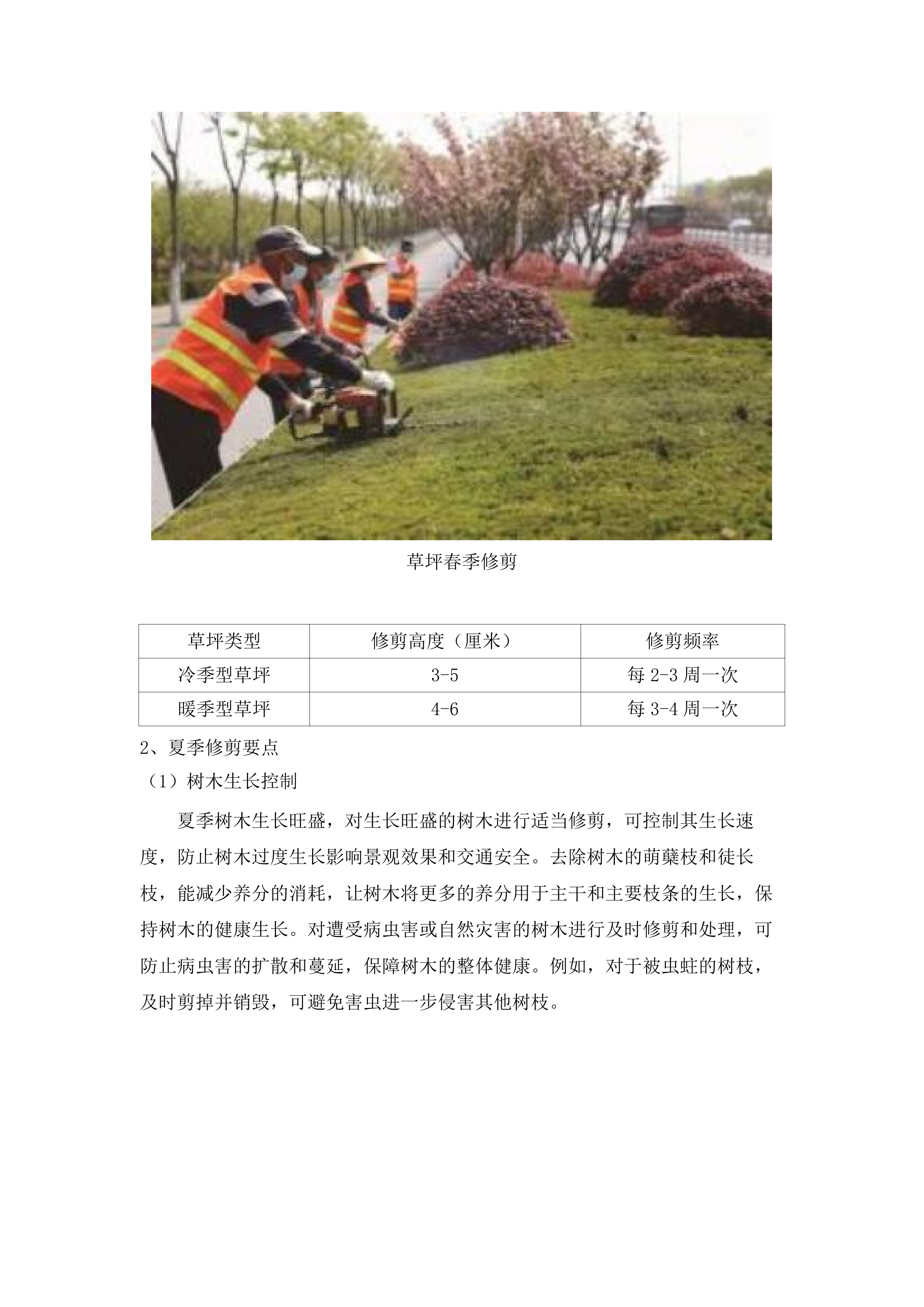 仁化县城市园林管理所新环丹公路沿线整治绿化养护项目投标方案.docx 第9页