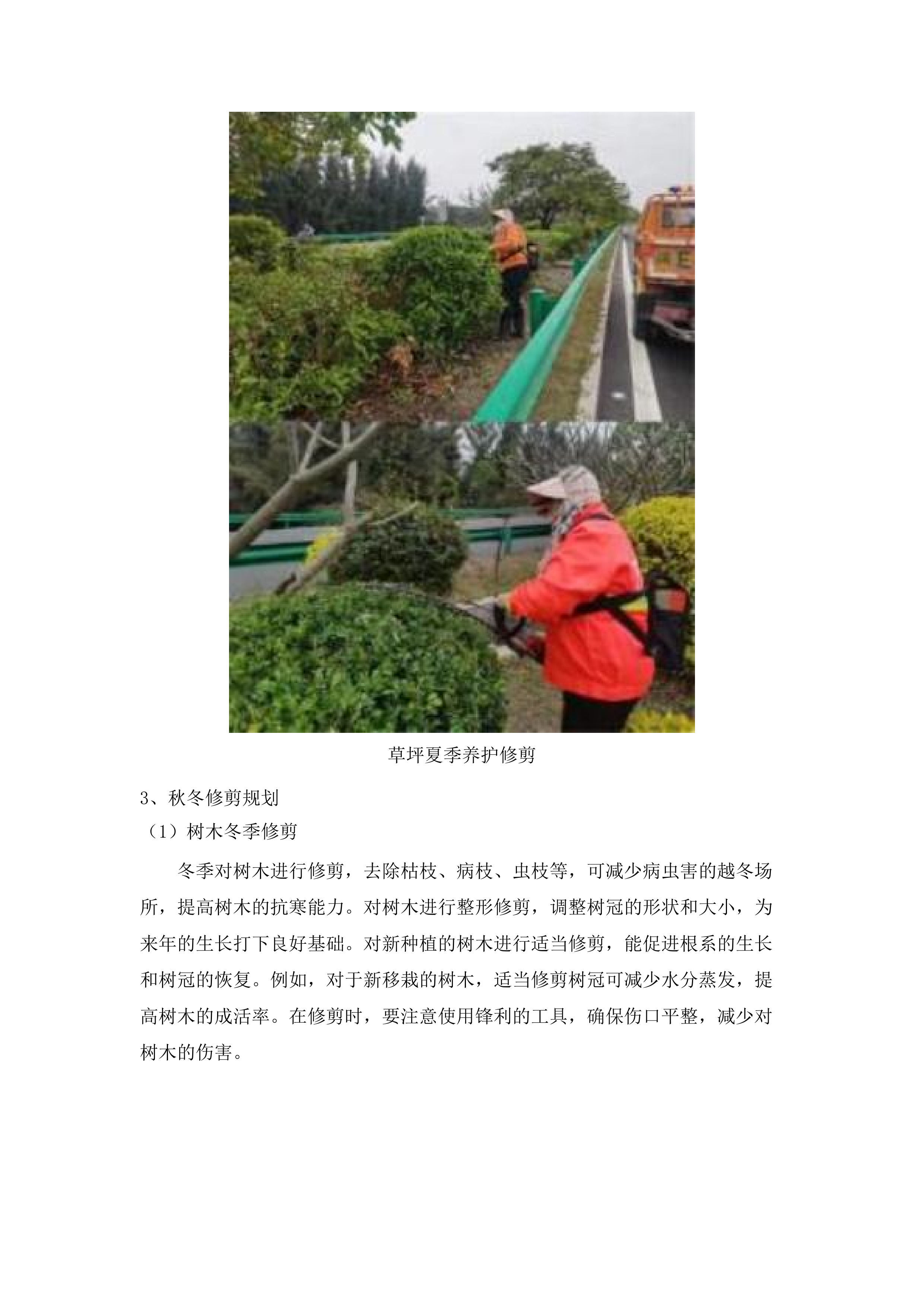 仁化县城市园林管理所新环丹公路沿线整治绿化养护项目投标方案.docx 第12页