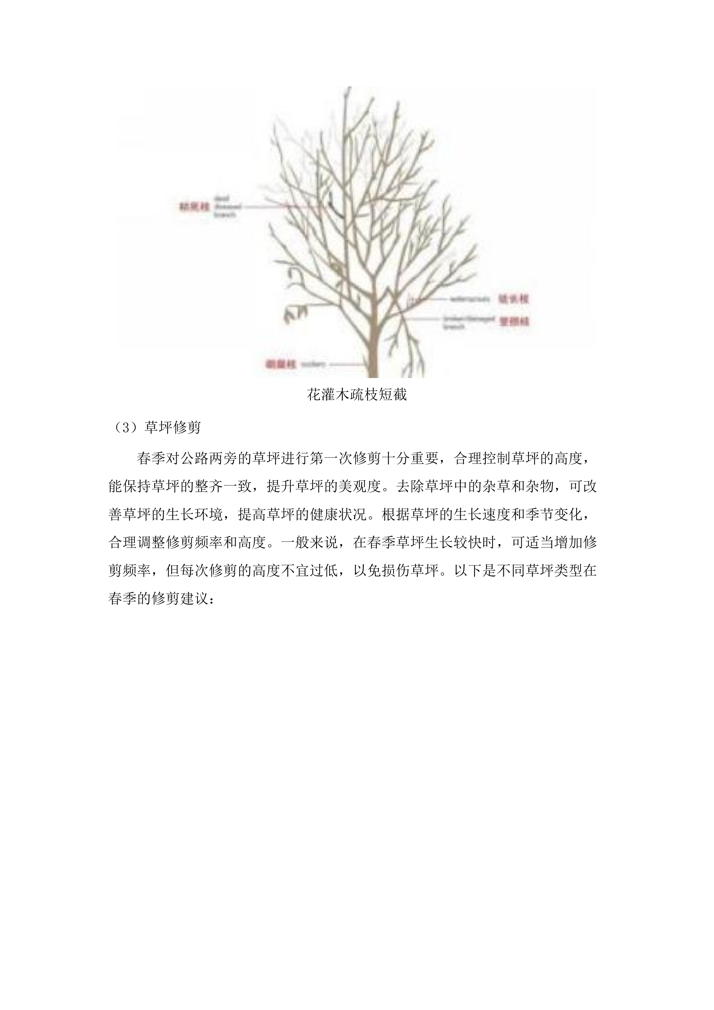 仁化县城市园林管理所新环丹公路沿线整治绿化养护项目投标方案.docx 第8页