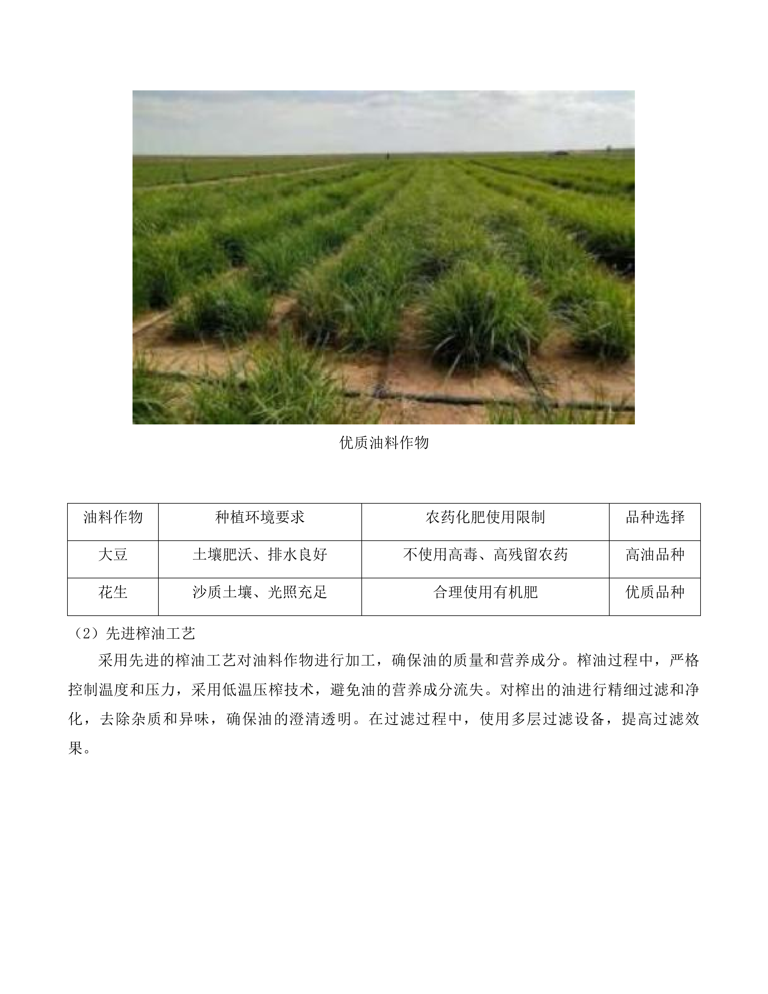 农村义务教育营养改善计划投标方案.docx 第11页