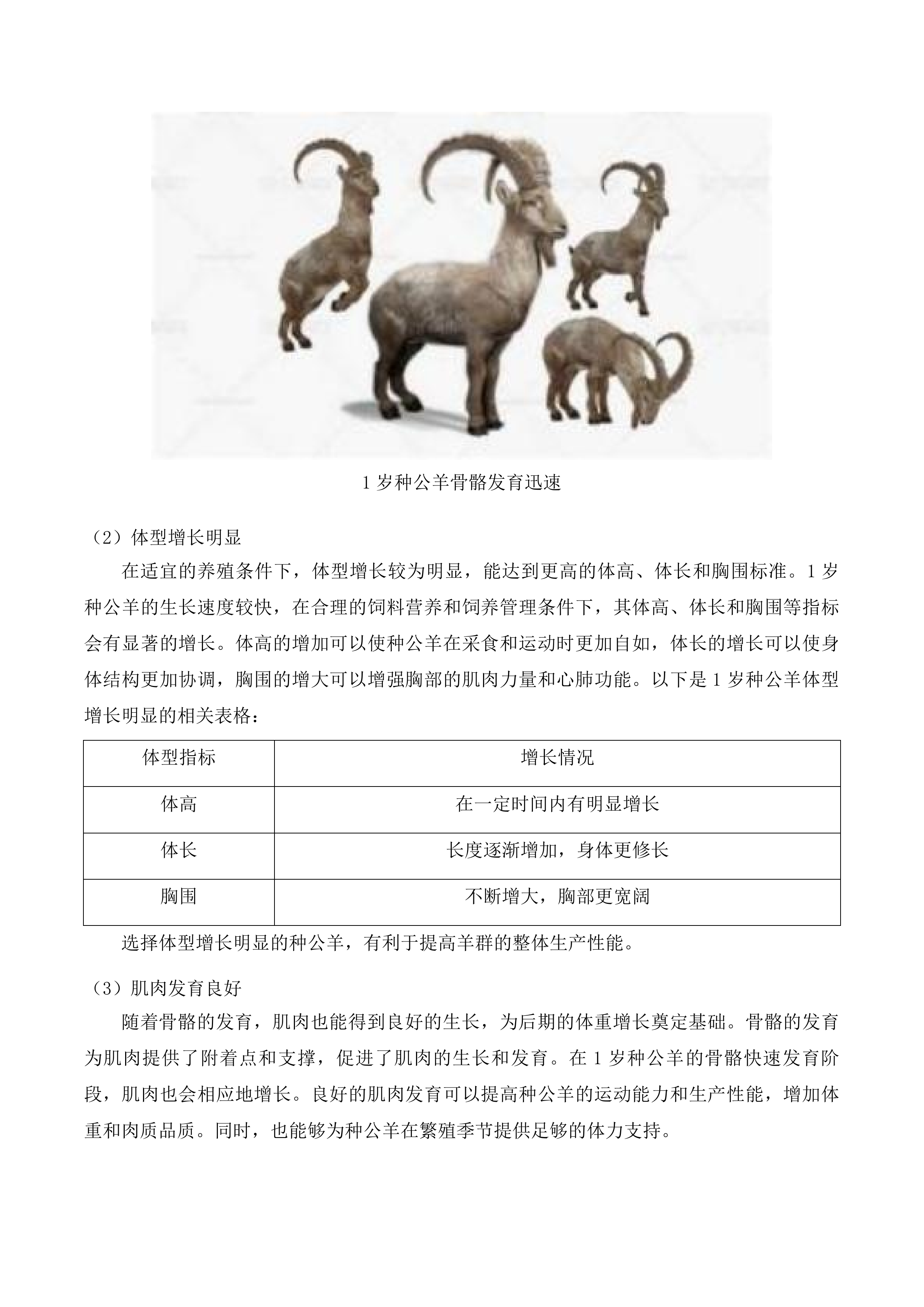 兴海县养殖产业提升项目投标方案.docx 第14页