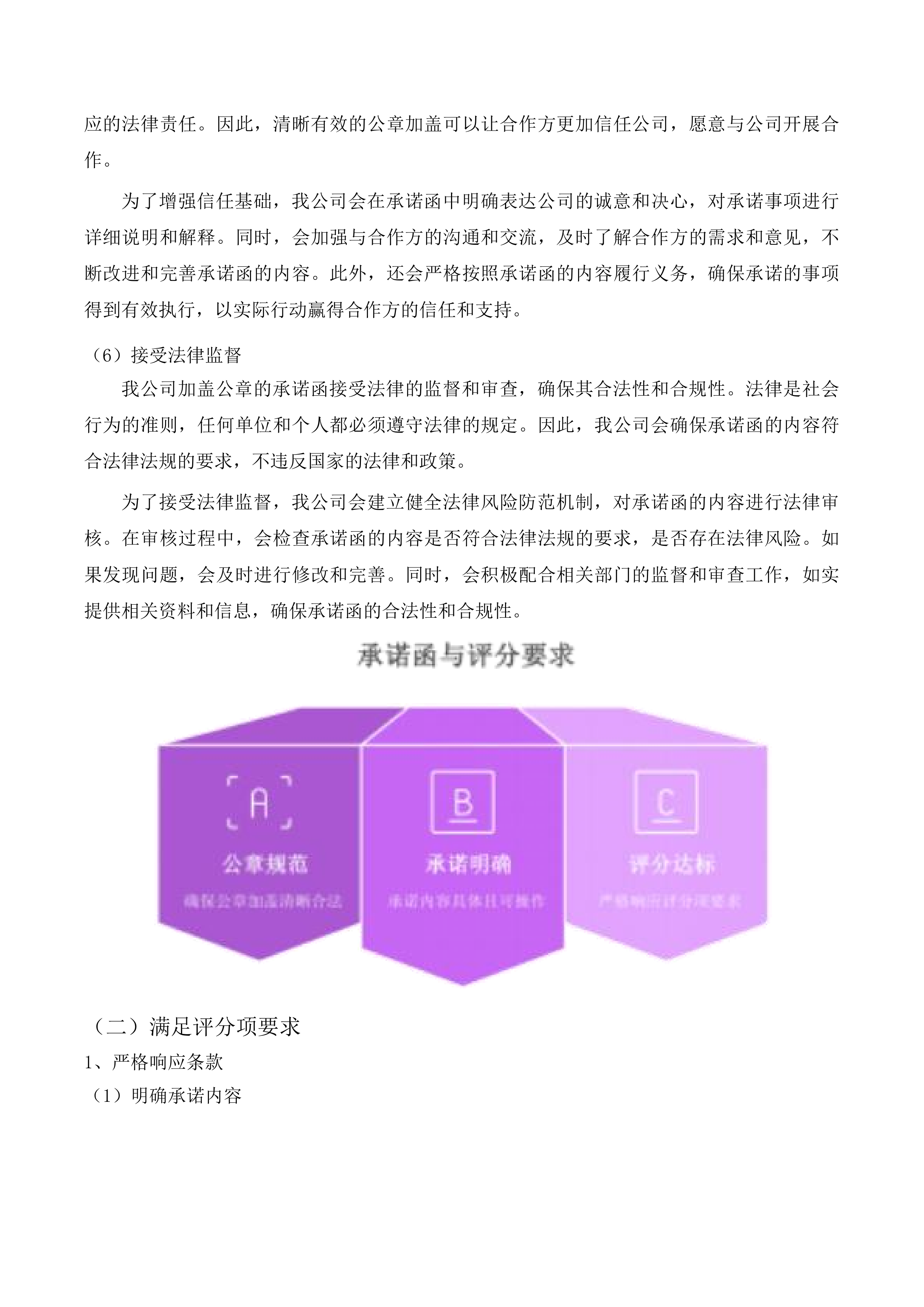 动物卫生监督检查站暨无形检查站投标方案.docx 第13页