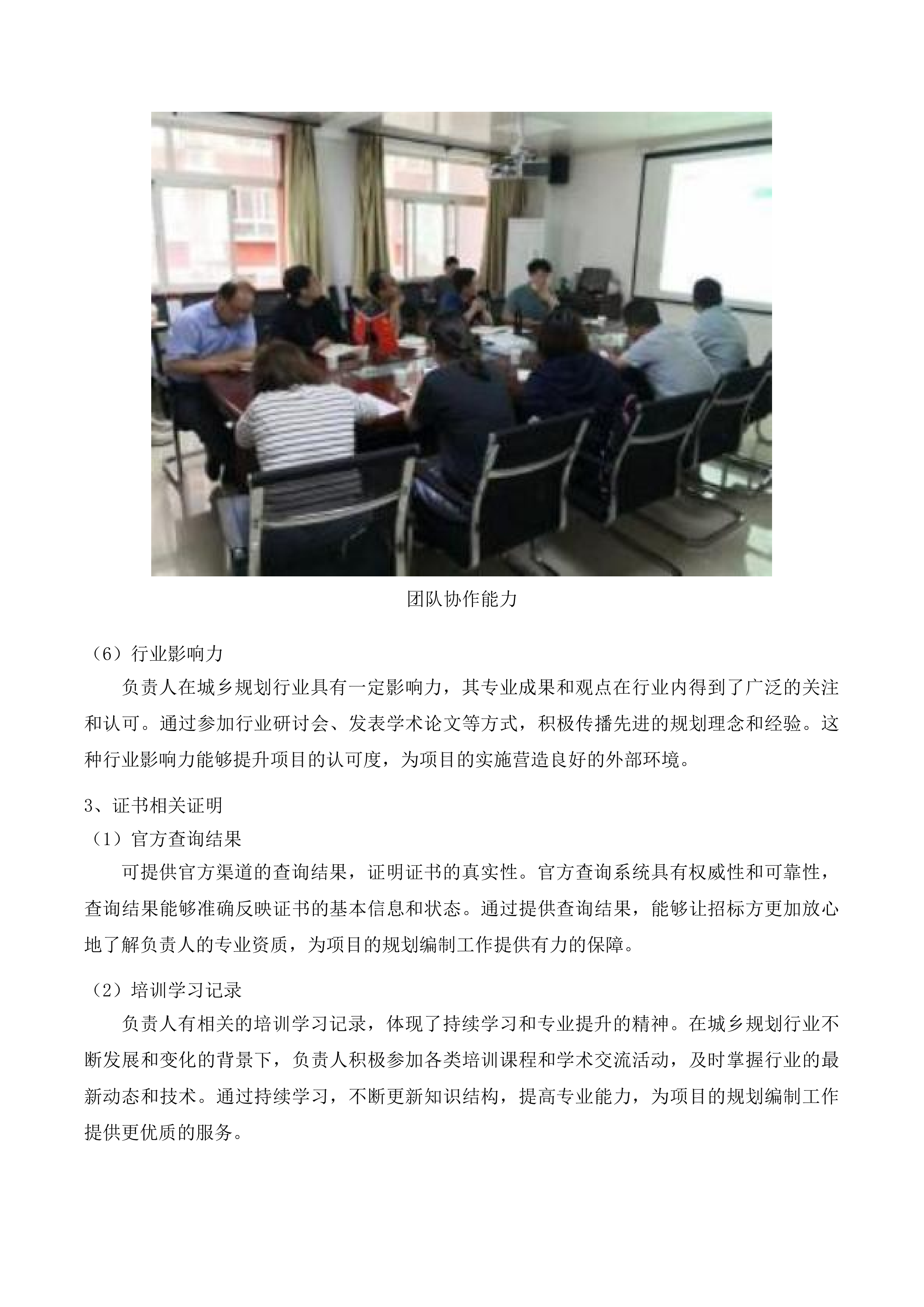湟中区城市更新专项规划编制项目投标方案.docx 第9页