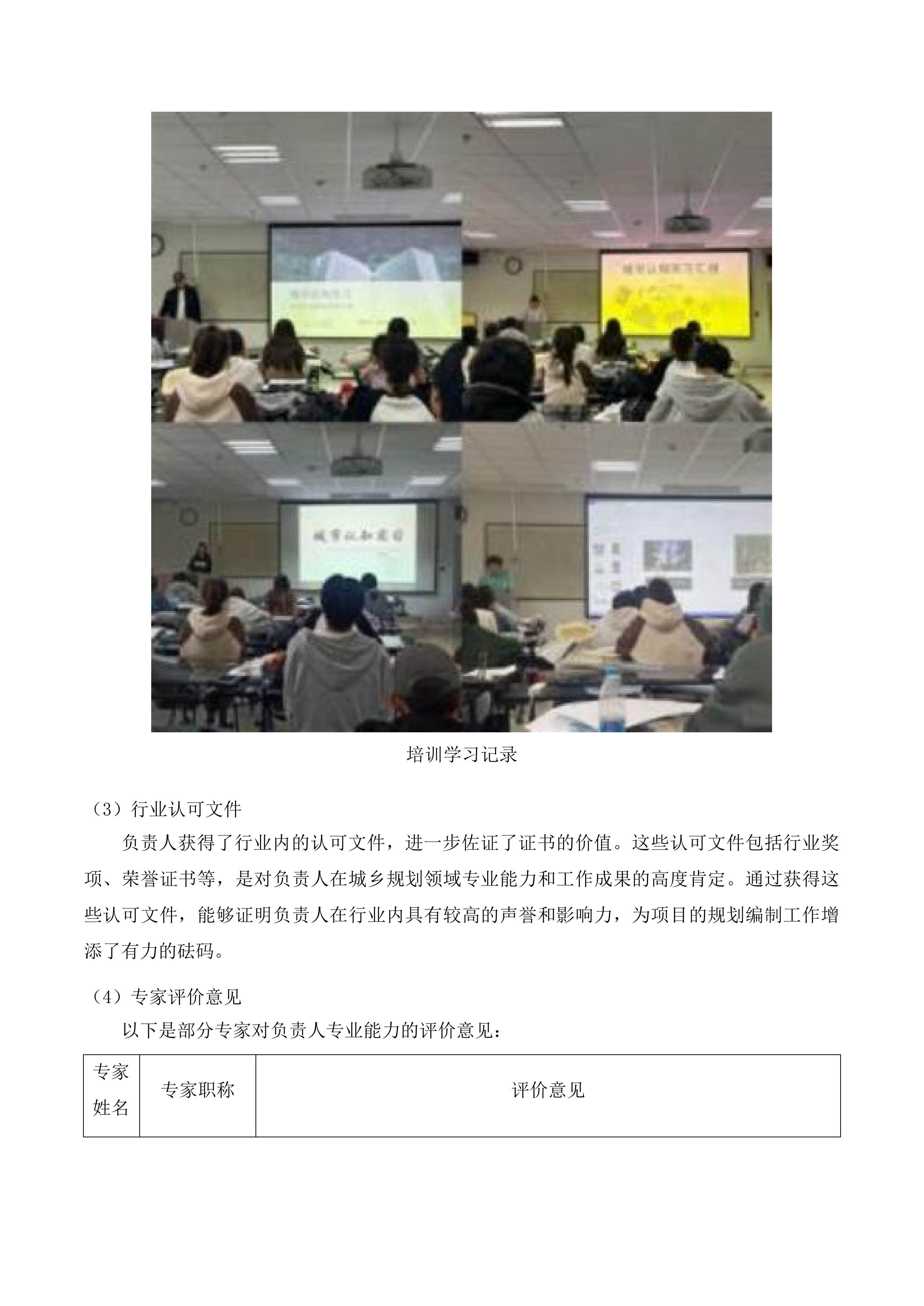 湟中区城市更新专项规划编制项目投标方案.docx 第10页