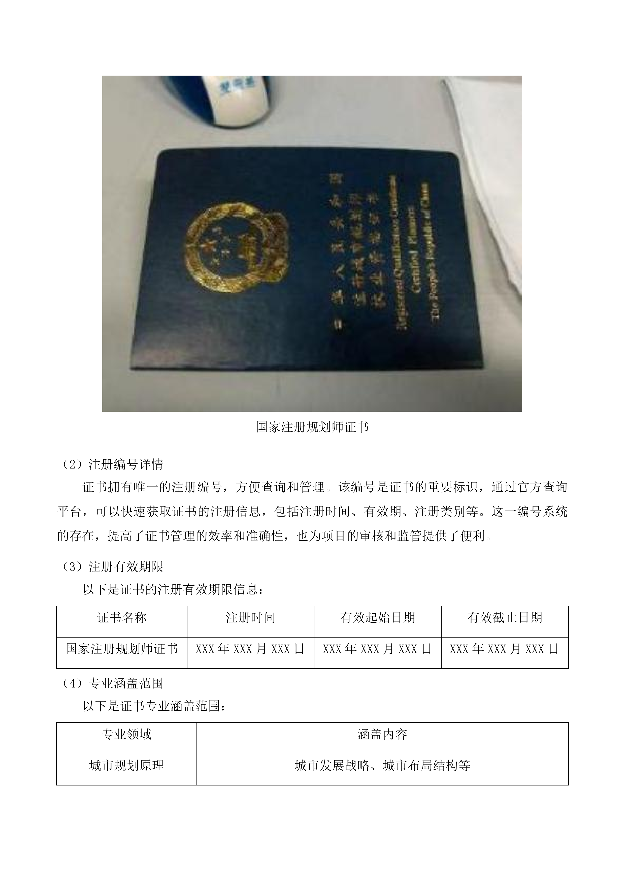 湟中区城市更新专项规划编制项目投标方案.docx 第12页