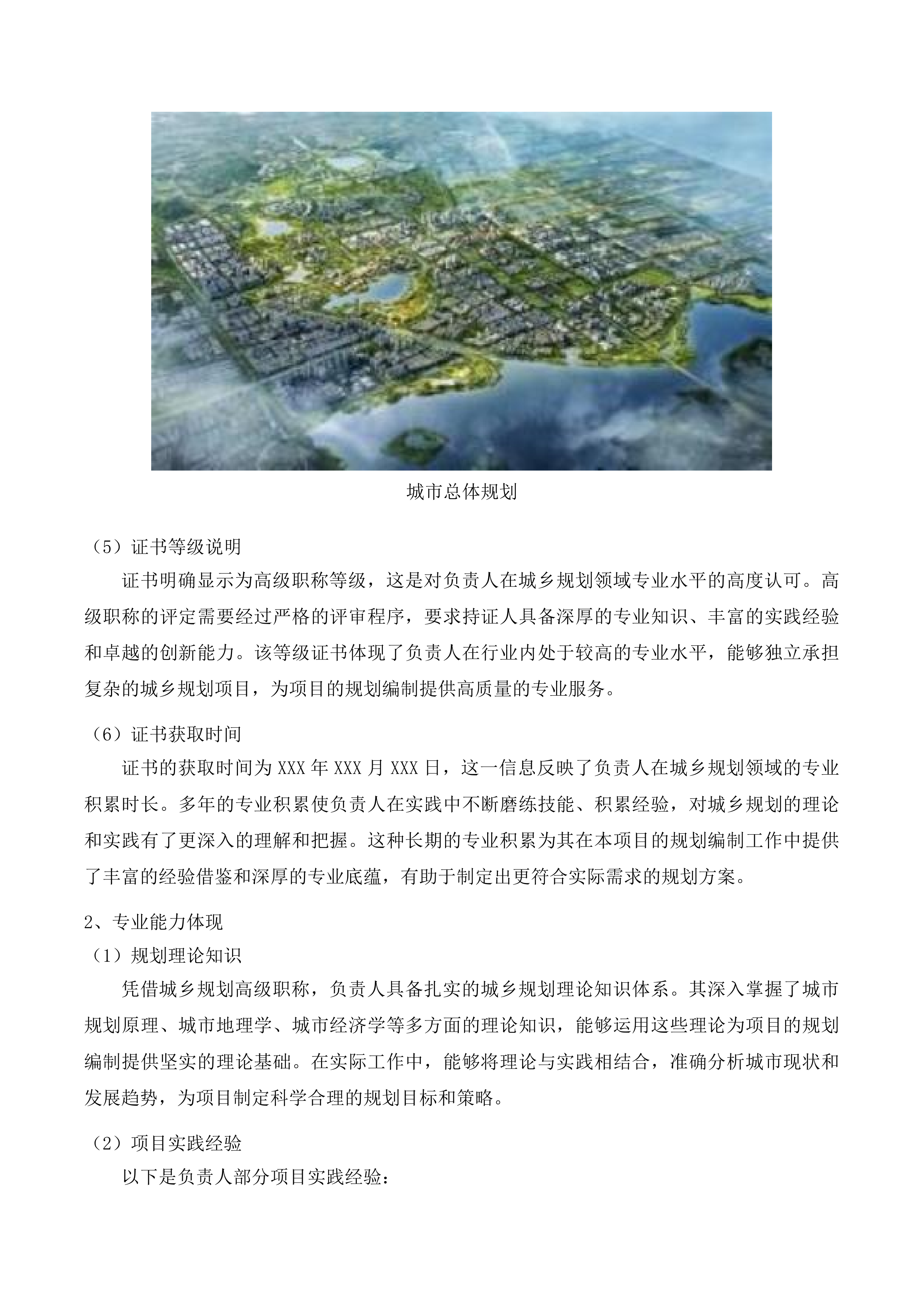 湟中区城市更新专项规划编制项目投标方案.docx 第7页